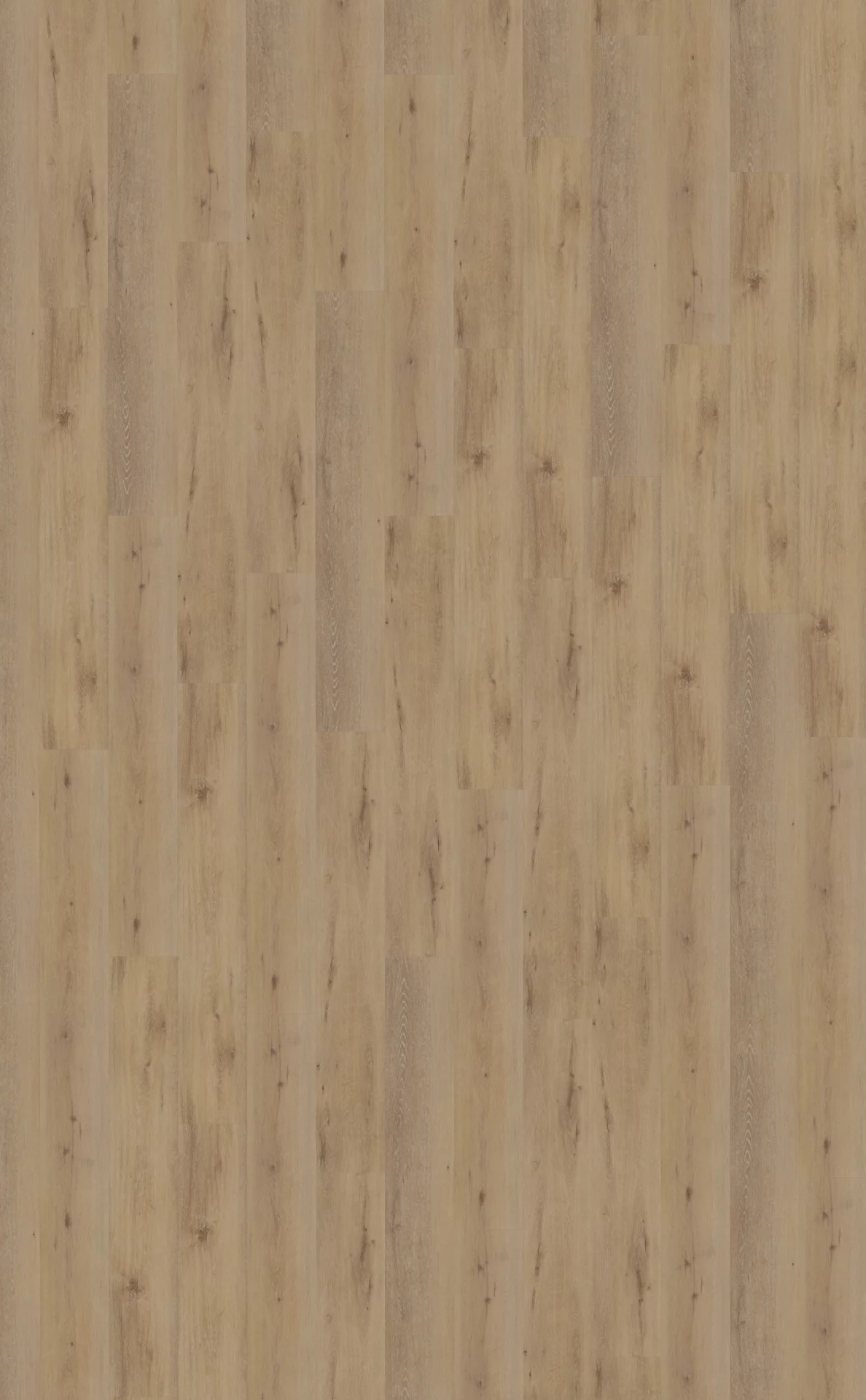 Belakos Attico 800 Plank XL Dryback