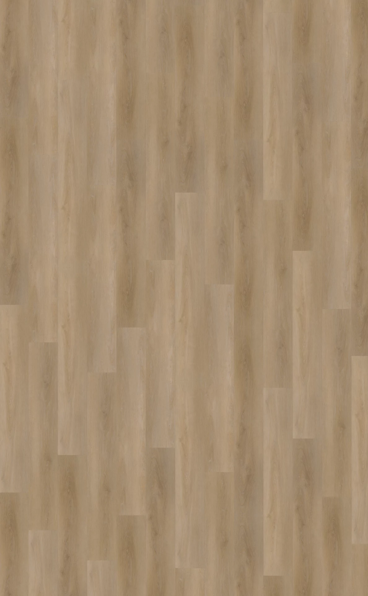 Belakos Attico 810 Plank XL Dryback