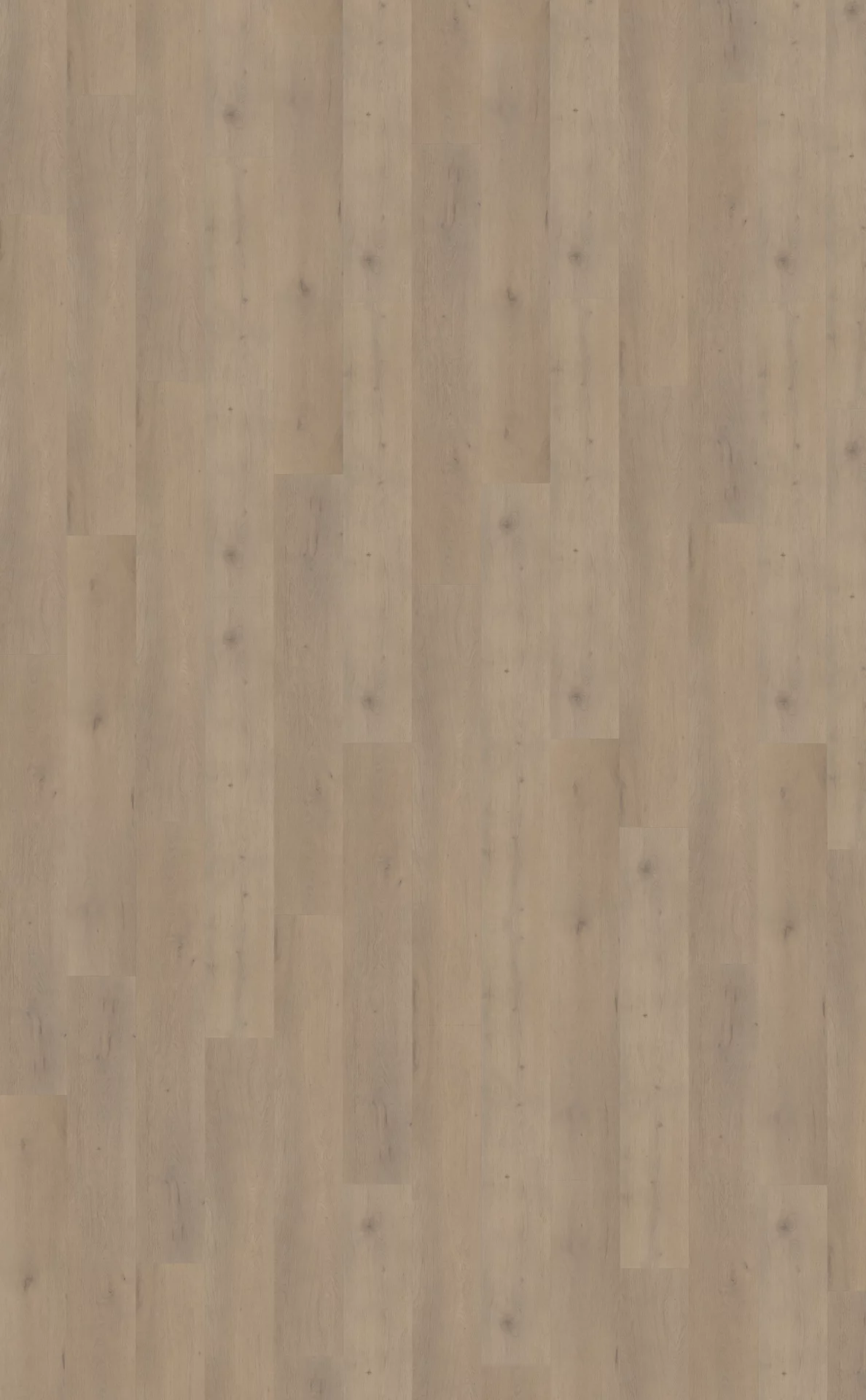 Belakos Attico 820 Plank XL Dryback
