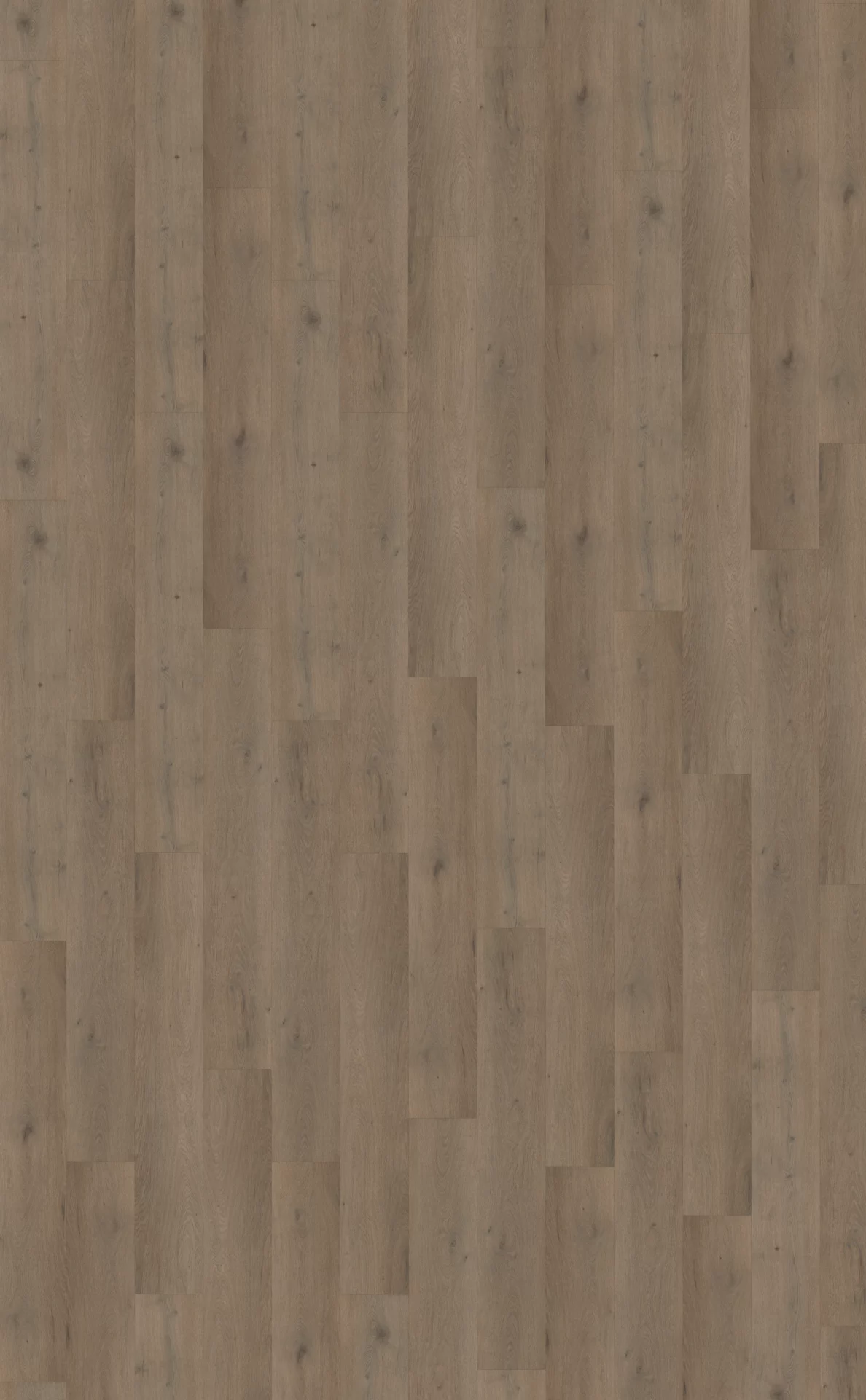 Belakos Attico 840 Plank XL Dryback