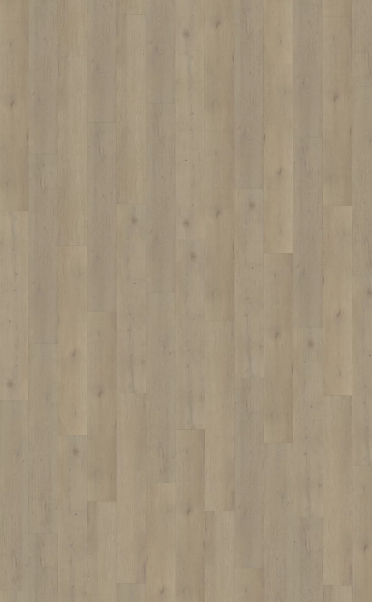 Belakos Attico 850 Plank XL Dryback