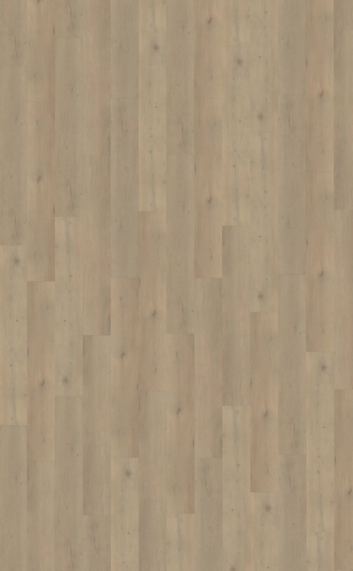 Belakos Attico 860 Plank XL Dryback