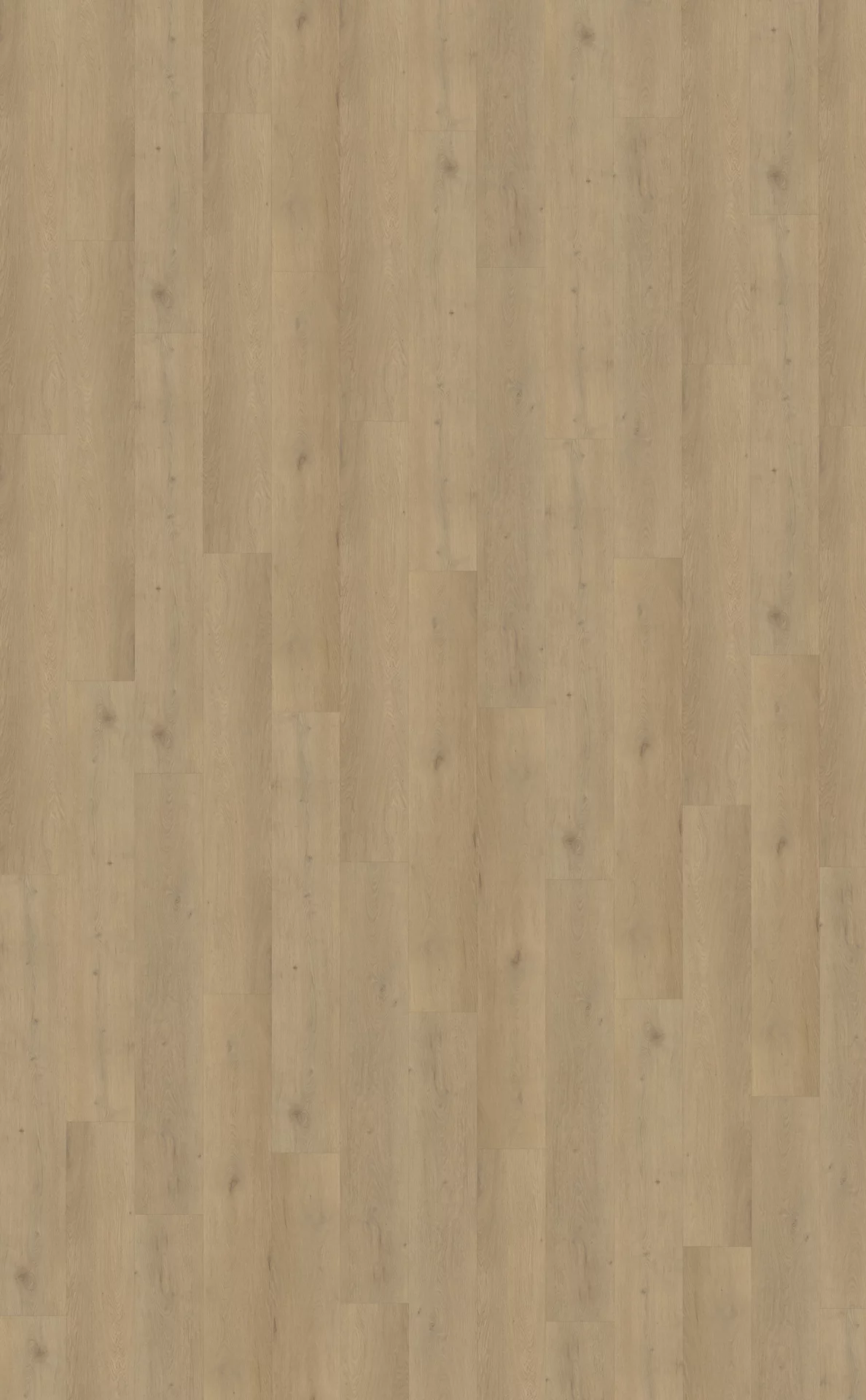 Belakos Attico 870 Plank XL Dryback
