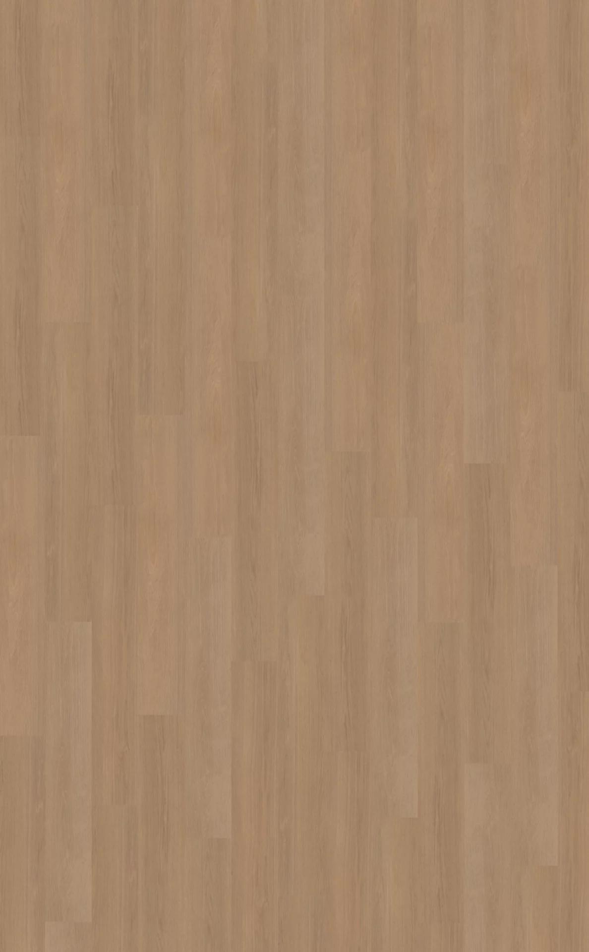 Belakos Futuro 500 Plank XL Dryback
