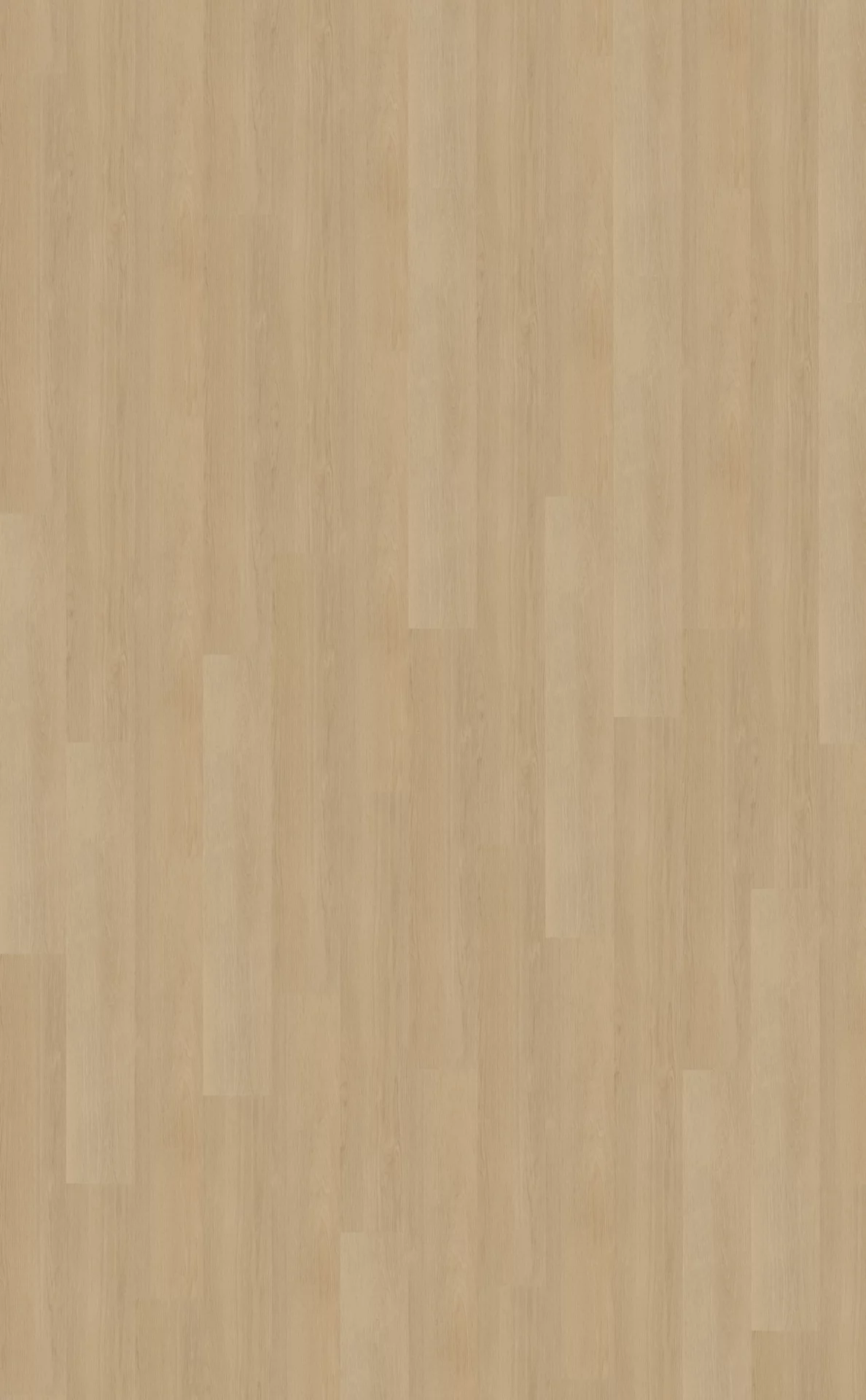 Belakos Futuro 510 Plank XL Dryback