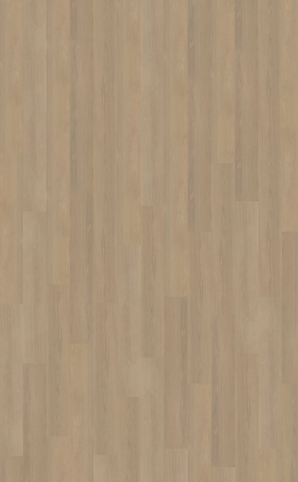 Belakos Futuro 530 Plank XL Dryback