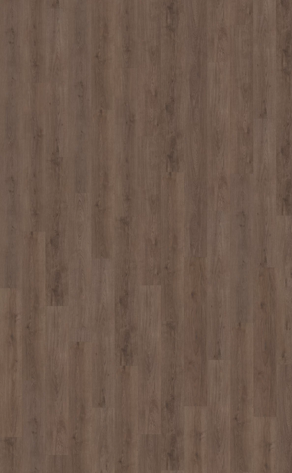 Belakos Monastro 900 Plank XL Dryback