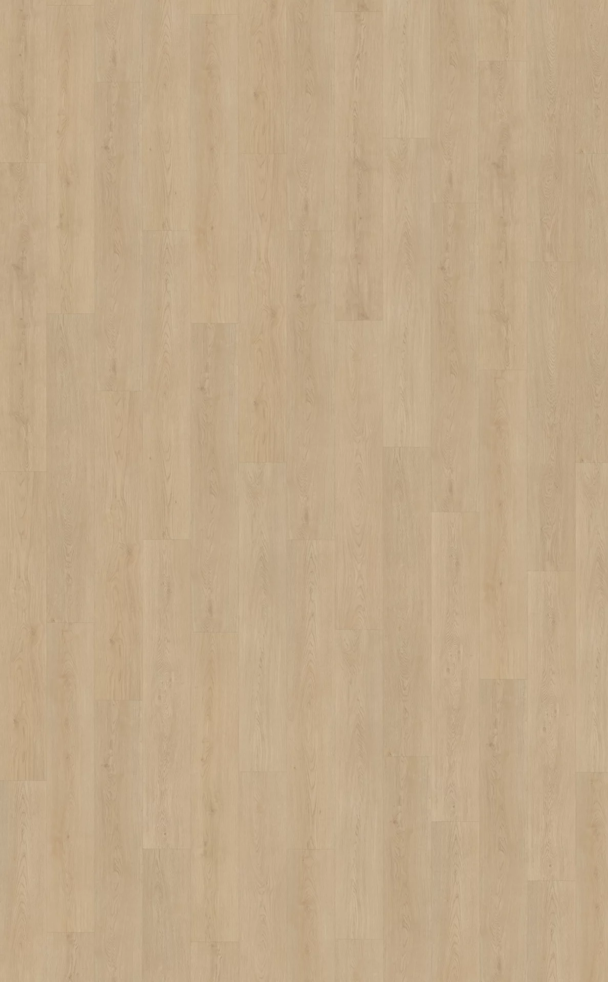 Belakos Monastro 920 Plank XL Dryback