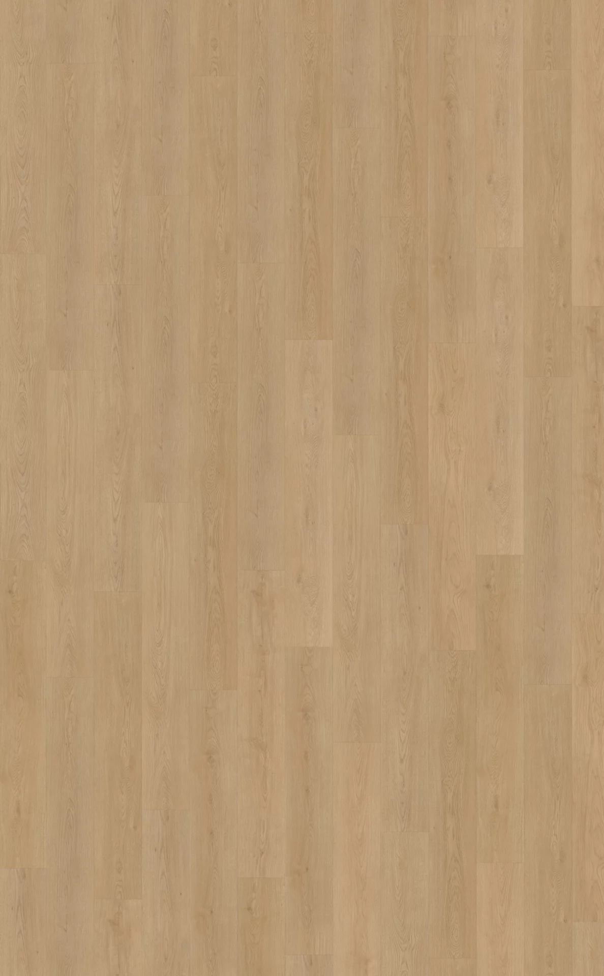 Belakos Monastro 930 Plank XL Dryback