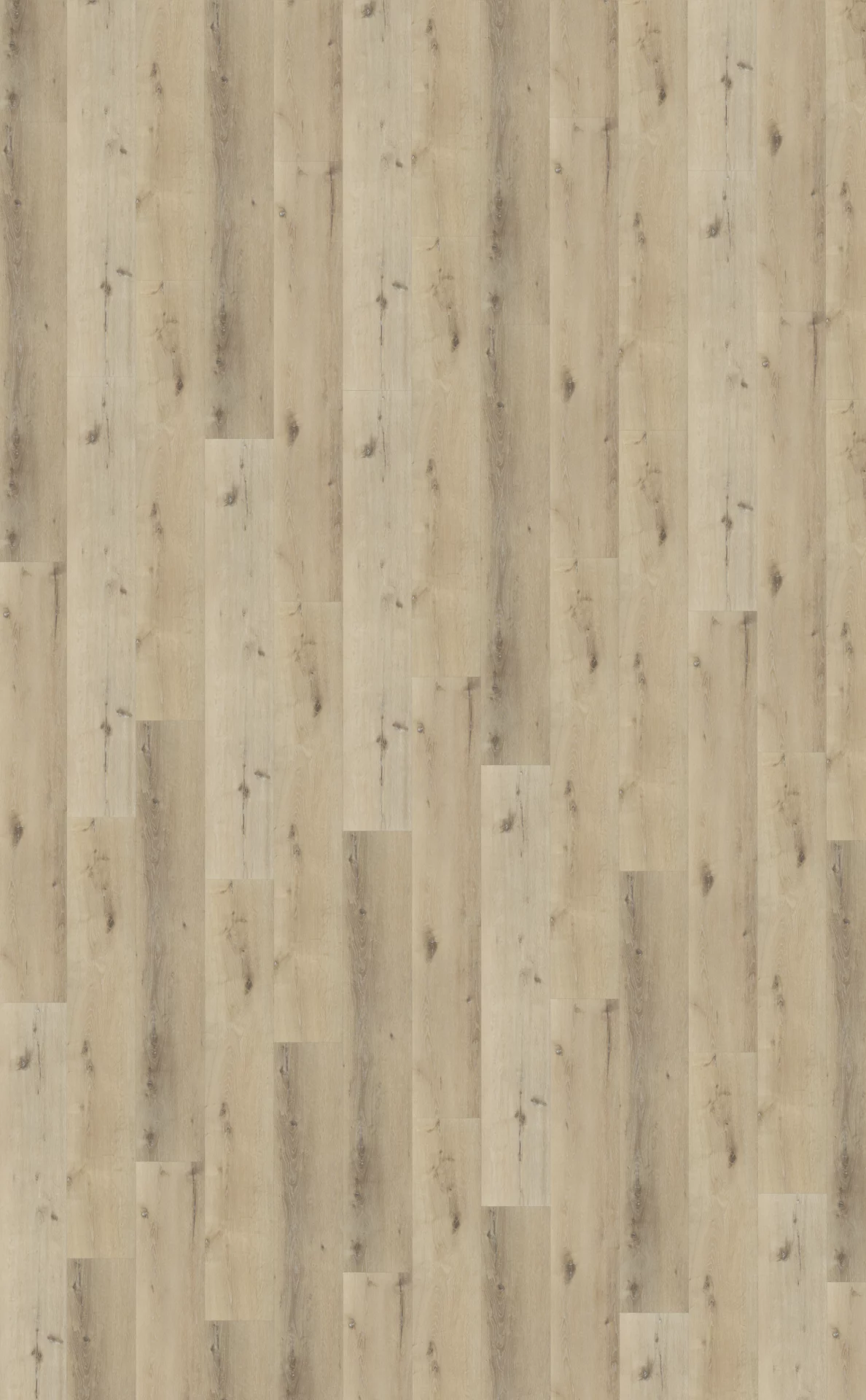 Belakos Palazzo 150 Plank XL Dryback
