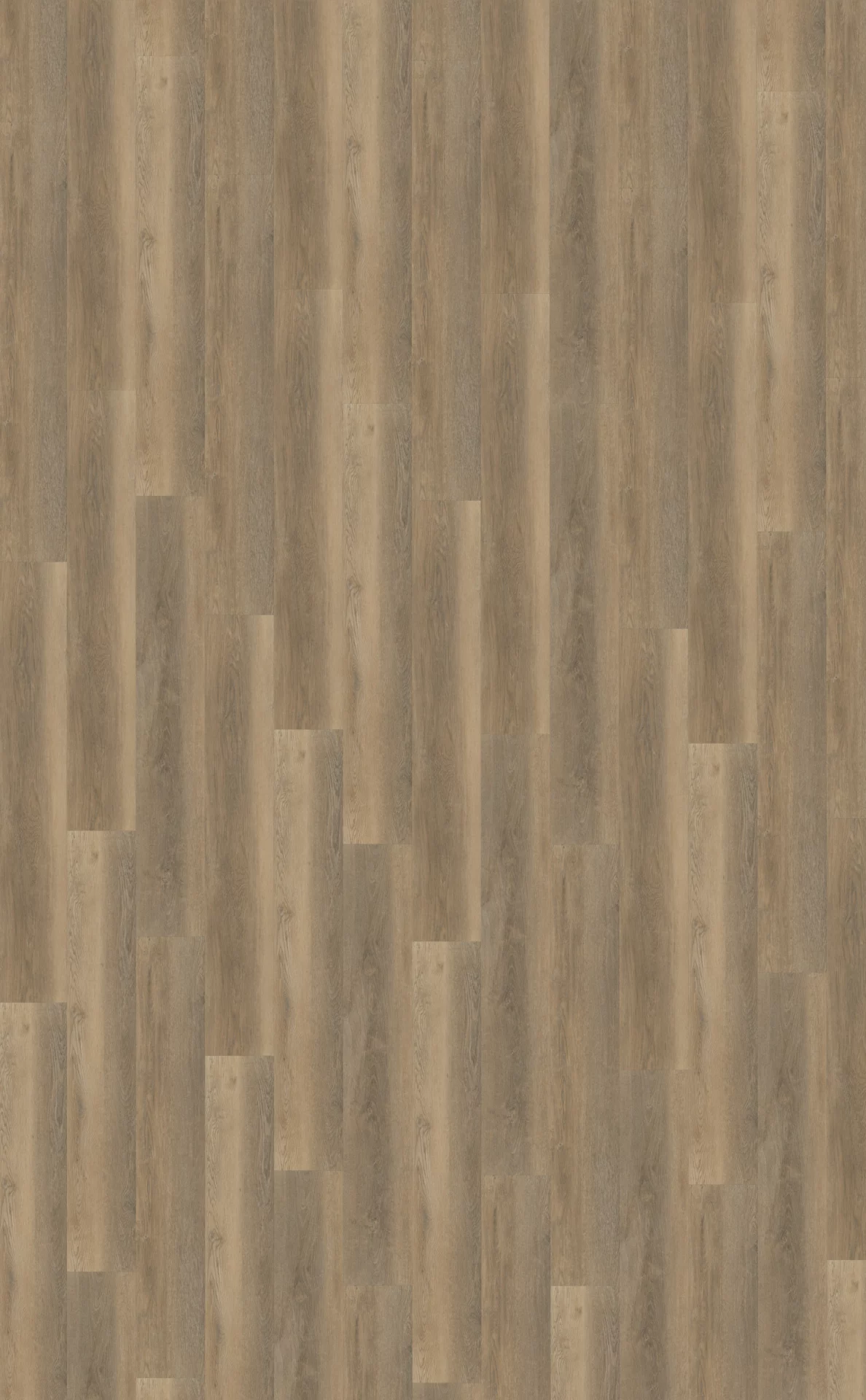 Belakos Palazzo 250 Plank XL Dryback