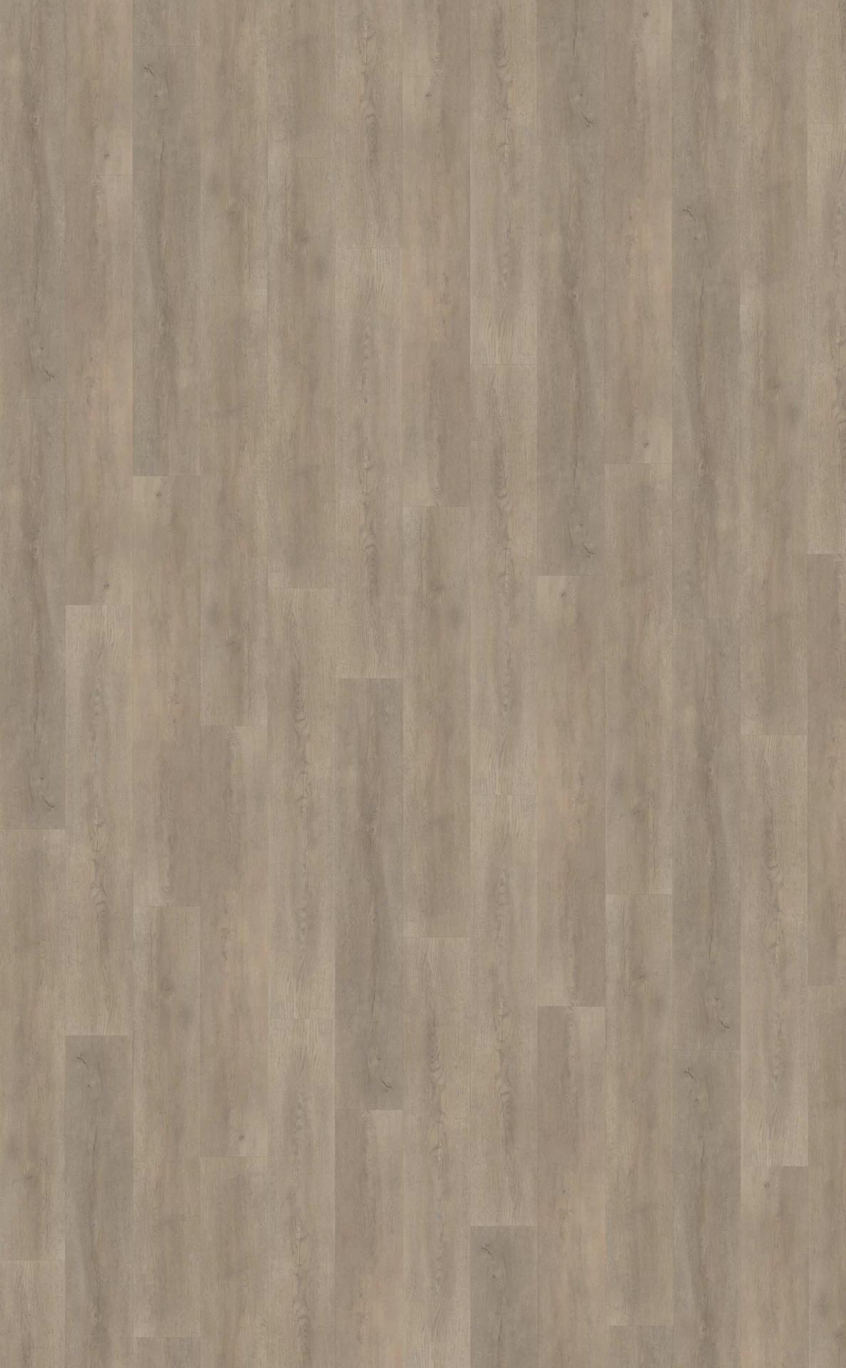Belakos Palazzo 700 Plank XL Dryback