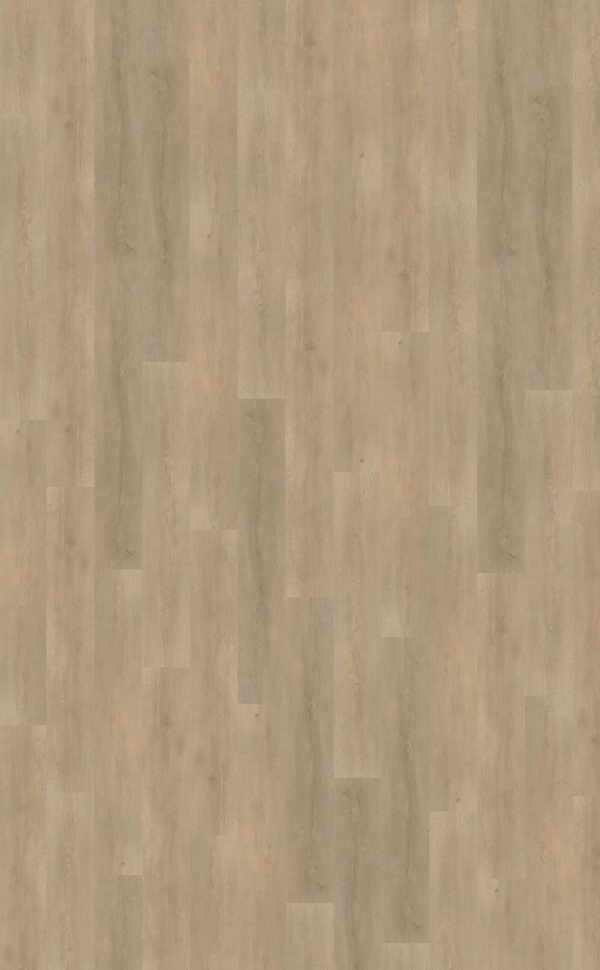 Belakos Palazzo 710 Plank XL Dryback