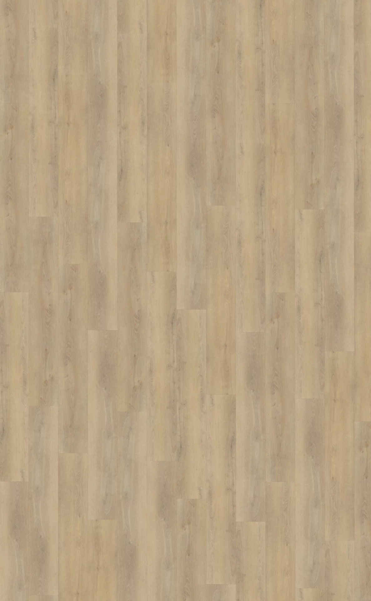Belakos Palazzo 720 Plank XL Dryback