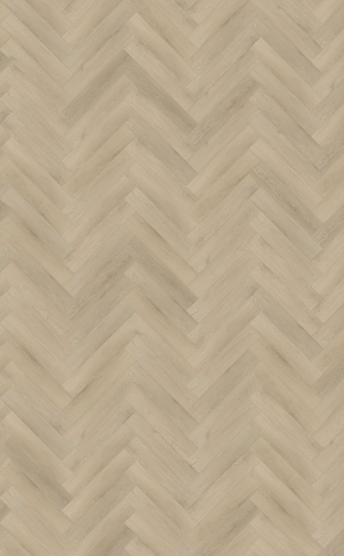 Belakos Palazzo 73 Visgraat XL Dryback