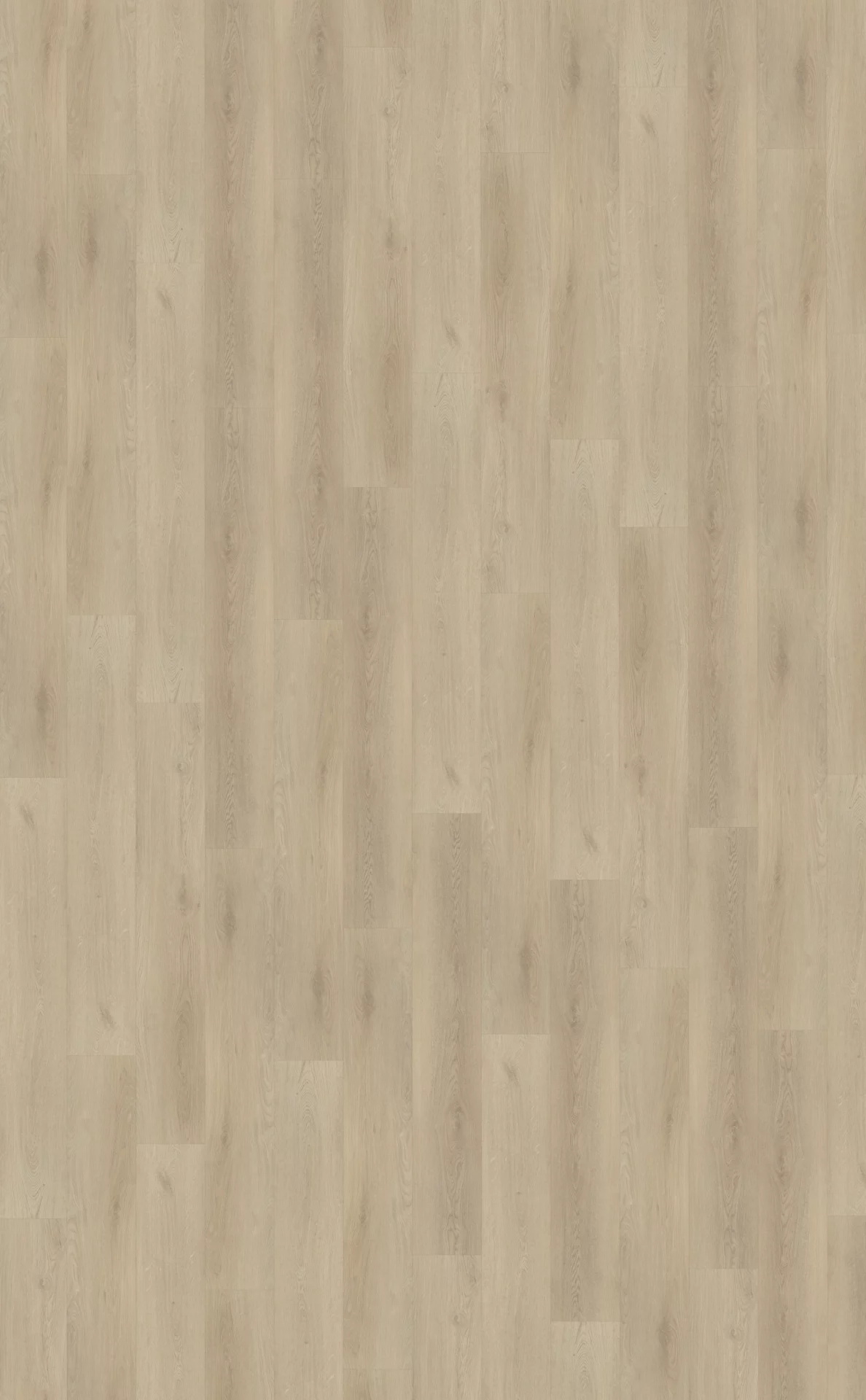 Belakos Palazzo 730 Plank XL Dryback