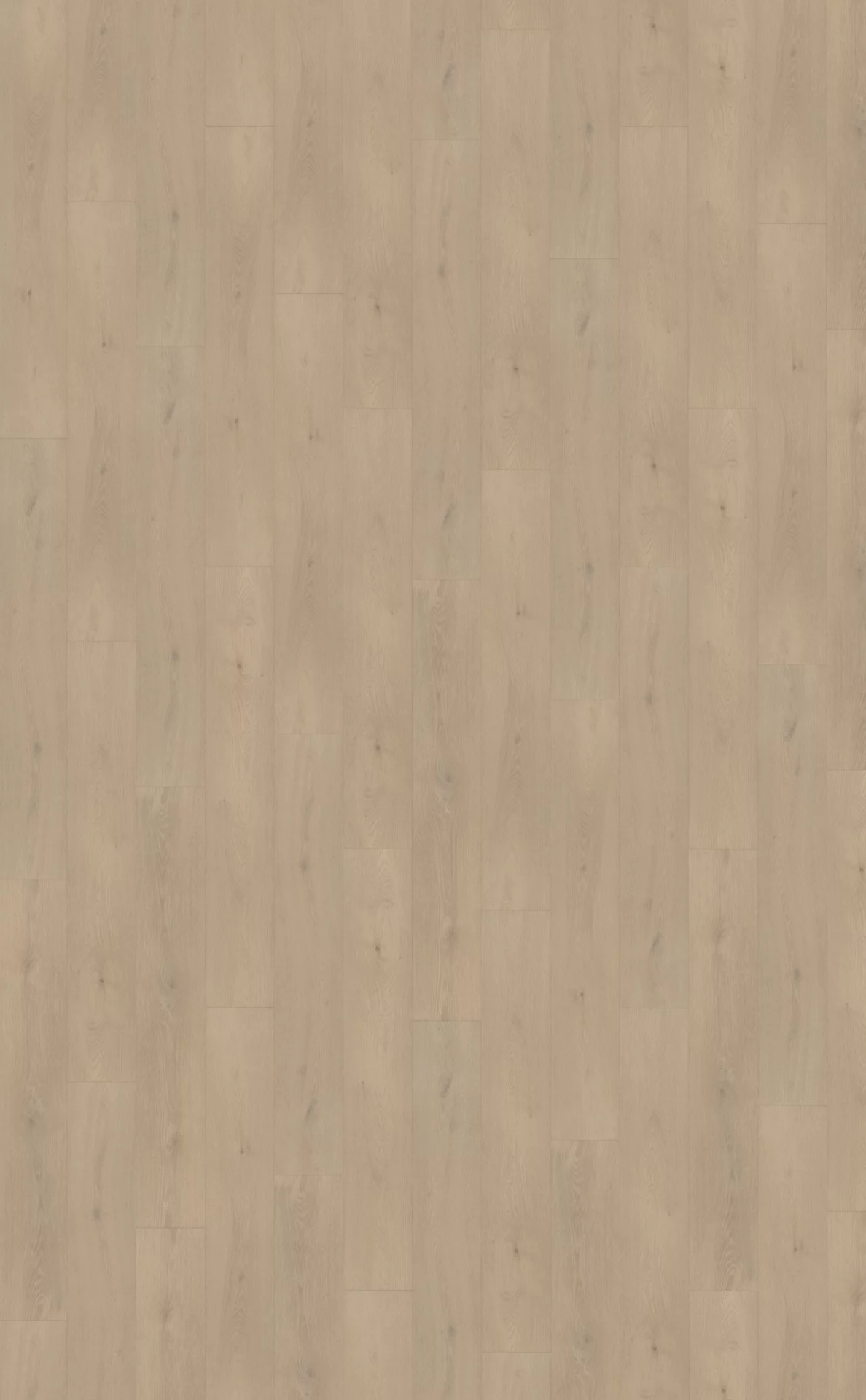 Belakos Palazzo 740 Plank XL Dryback