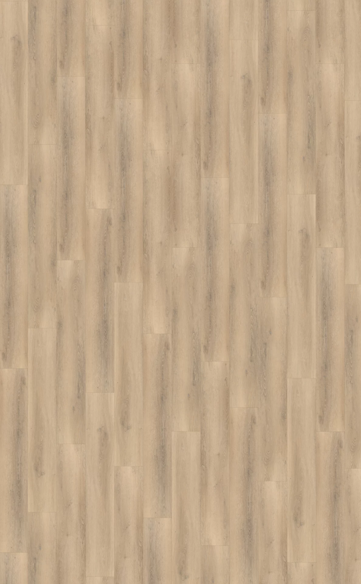 Belakos Palazzo 750 Plank XL Dryback