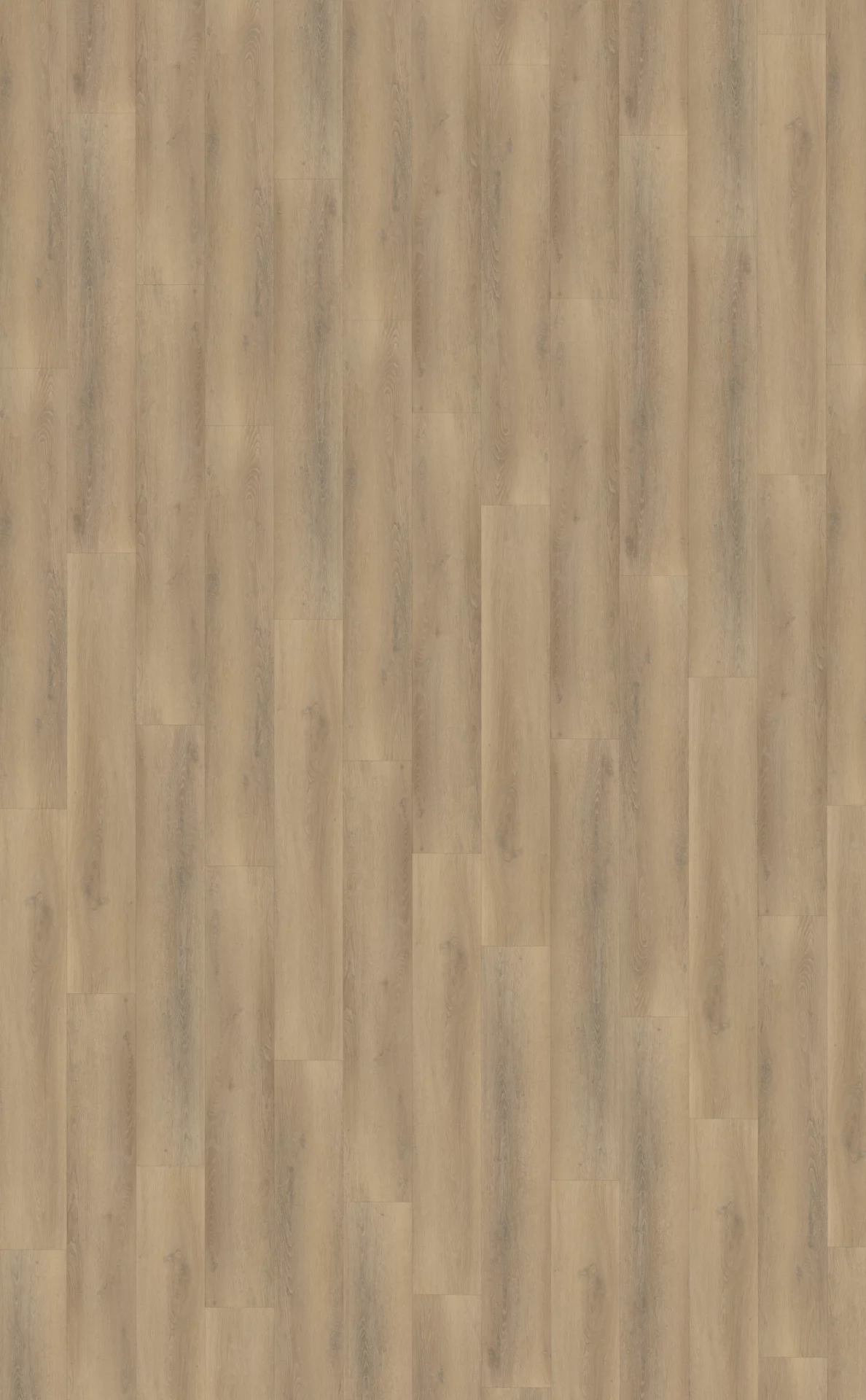 Belakos Palazzo 760 Plank XL Dryback