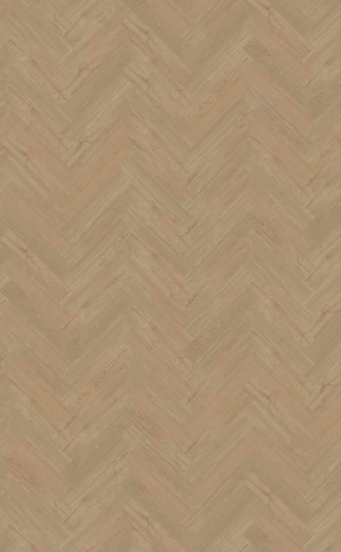 Belakos Portico 54 Visgraat XL Dryback
