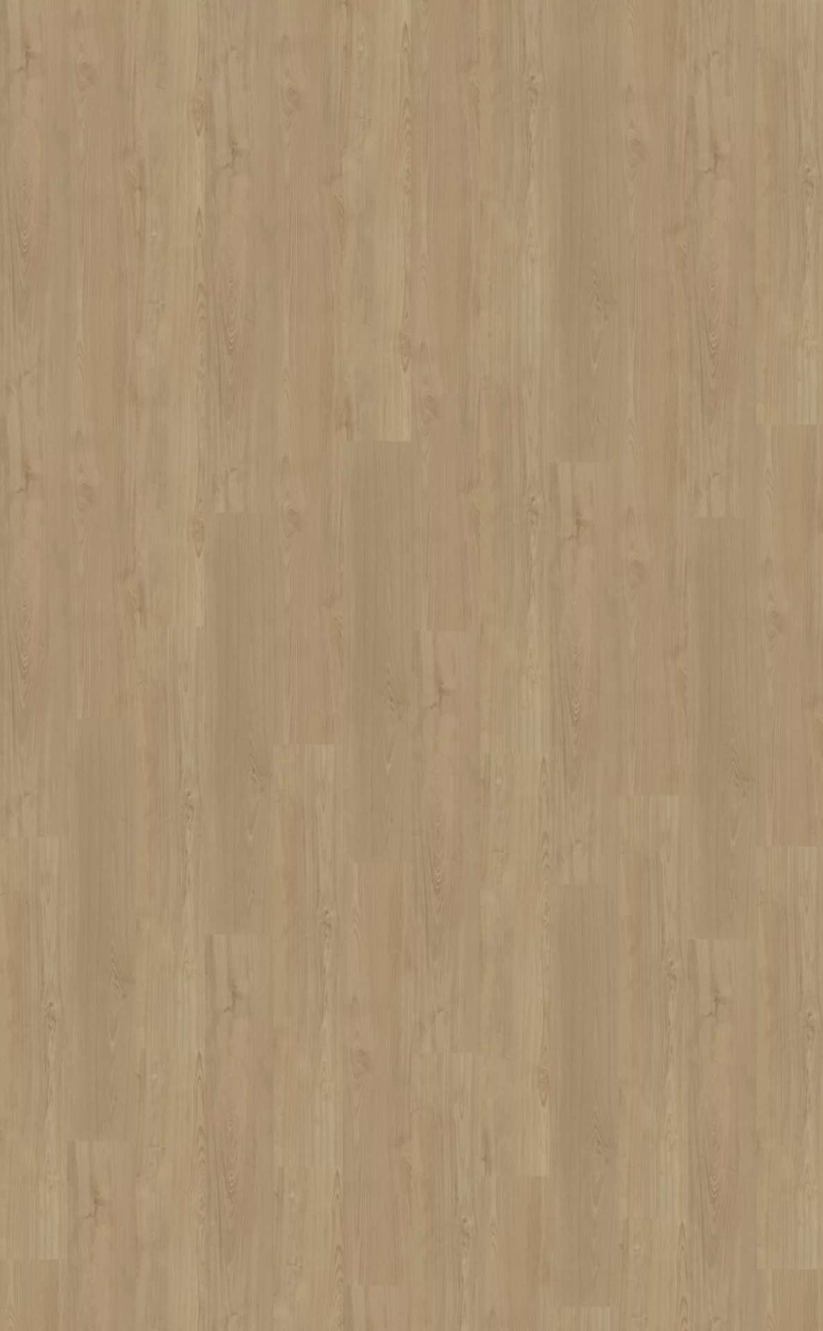Belakos Portico 540 Plank XL Dryback