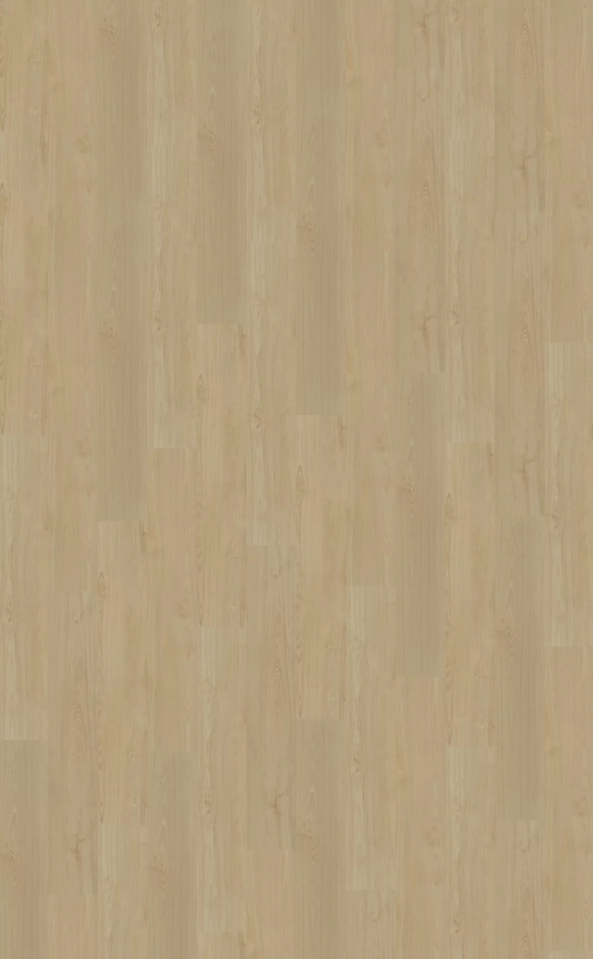 Belakos Portico 550 Plank XL Dryback