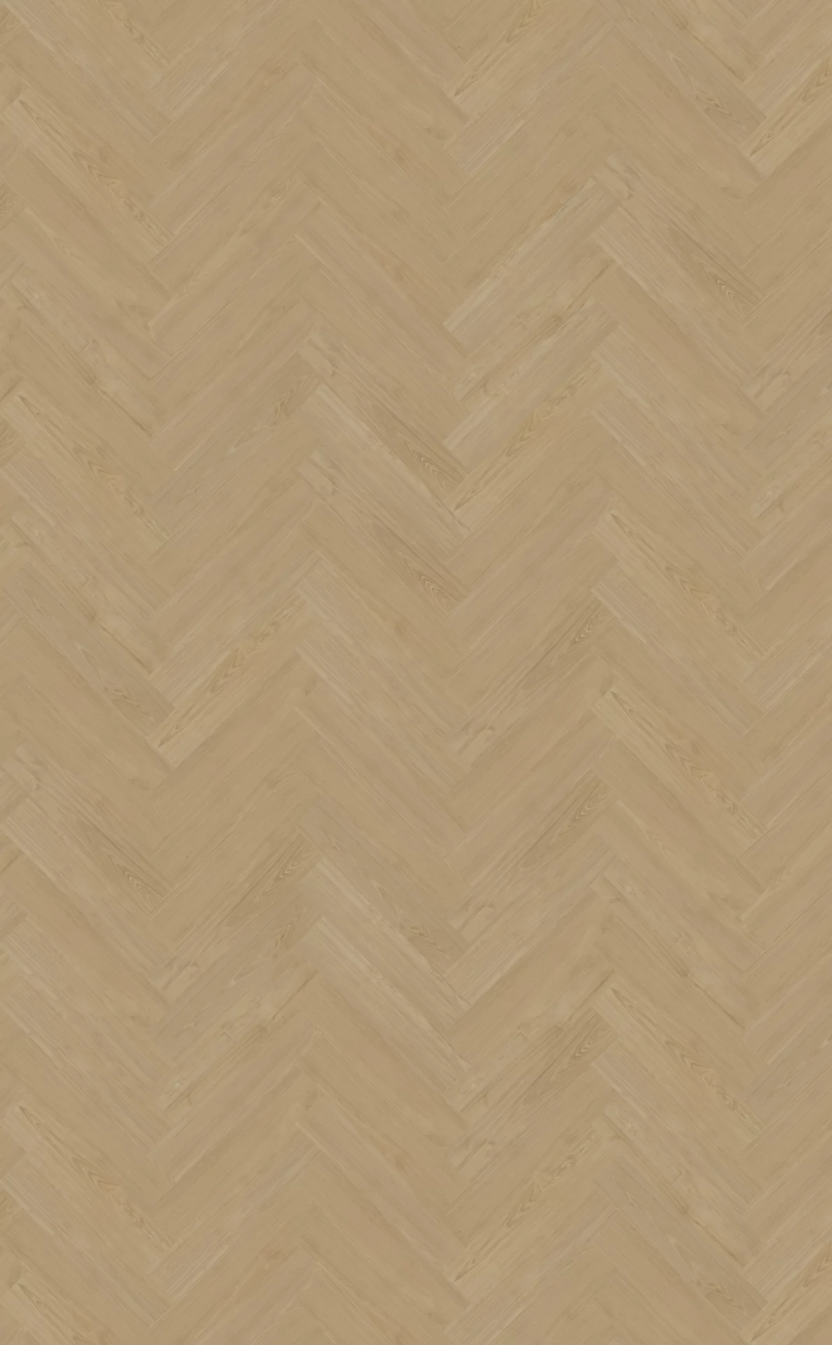 Belakos Portico 56 Visgraat XL Dryback