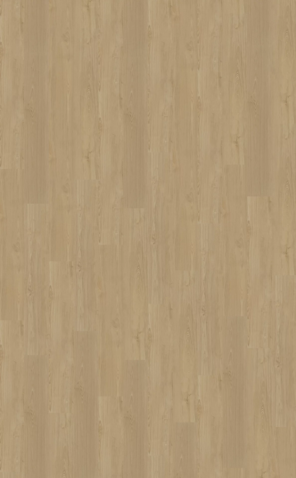 Belakos Portico 560 Plank XL Dryback