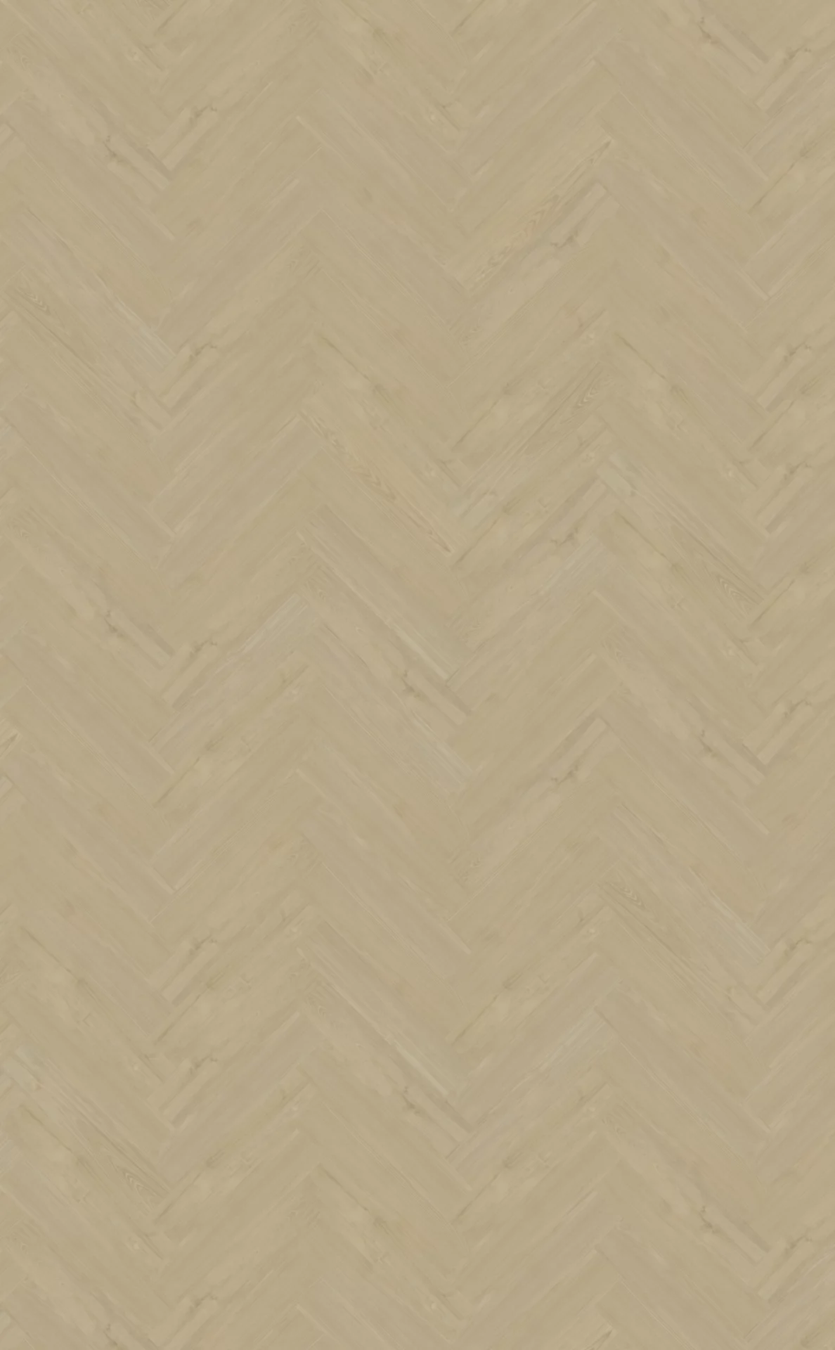 Belakos Portico 57 Visgraat XL Dryback