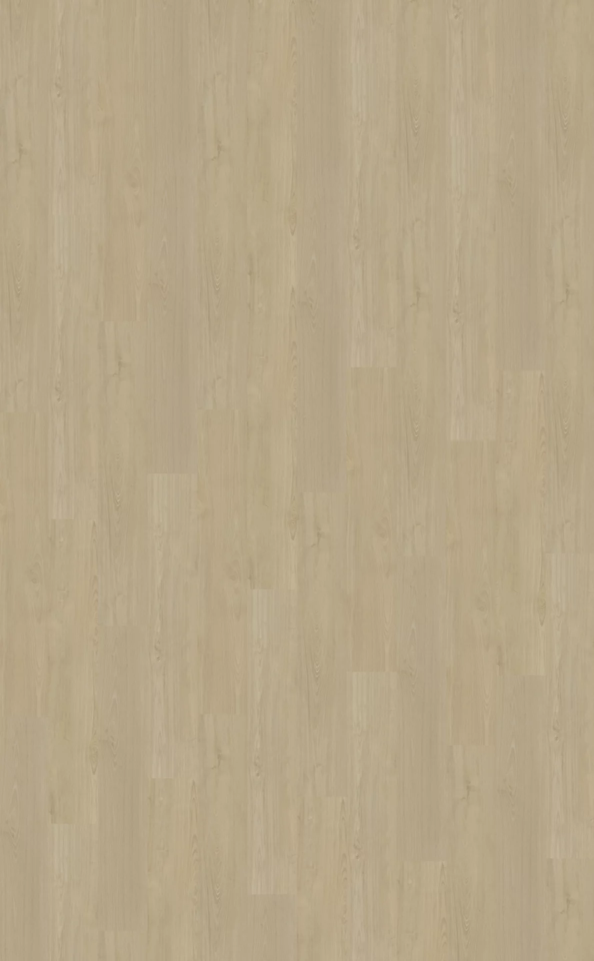 Belakos Portico 570 Plank XL Dryback
