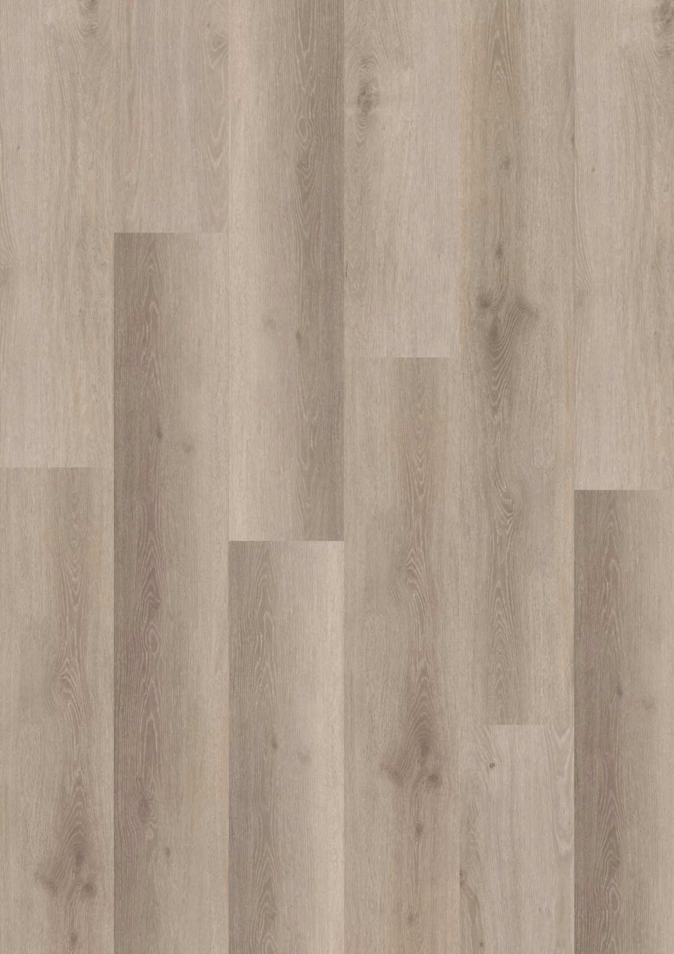 Belakos Rustico 40 Plank XL Dryback