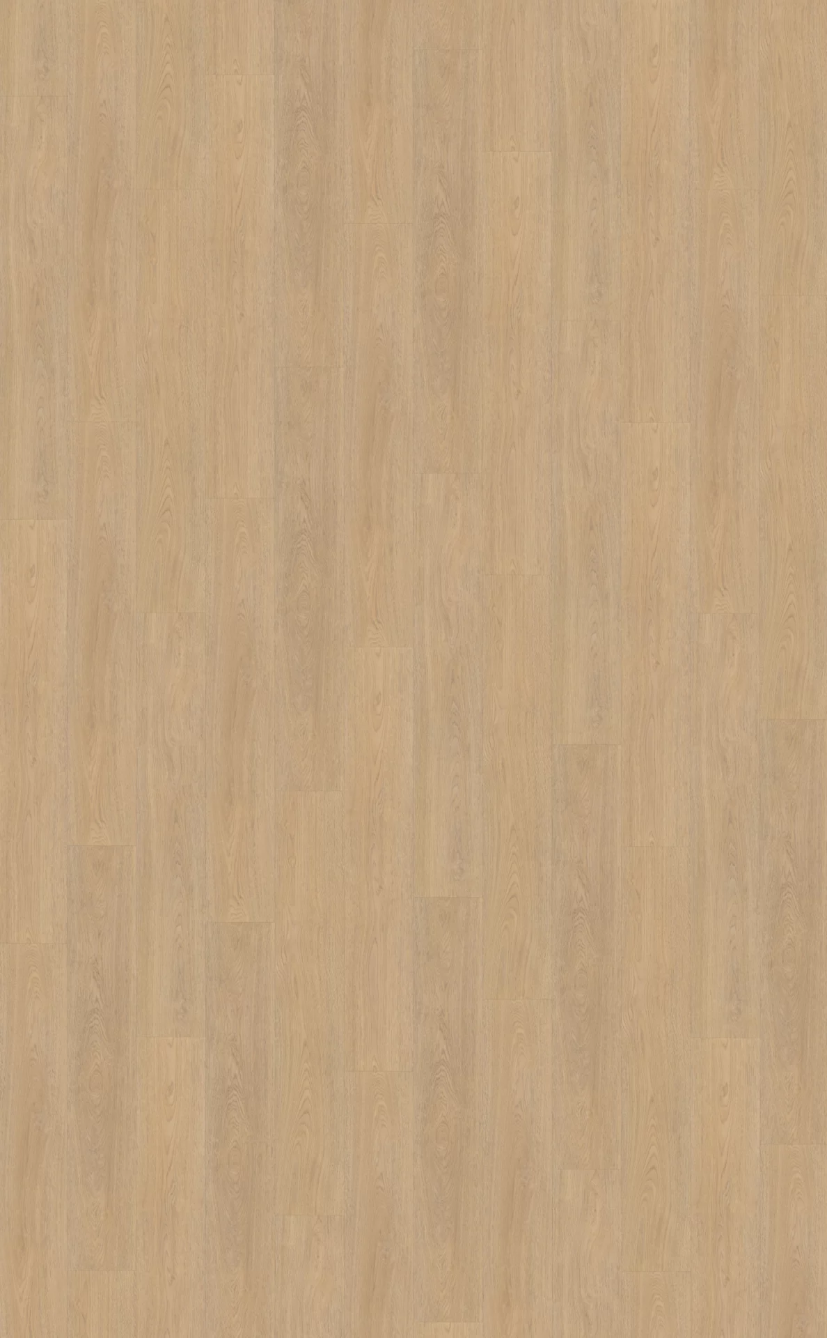 Belakos Terreno 610 Plank XL Dryback