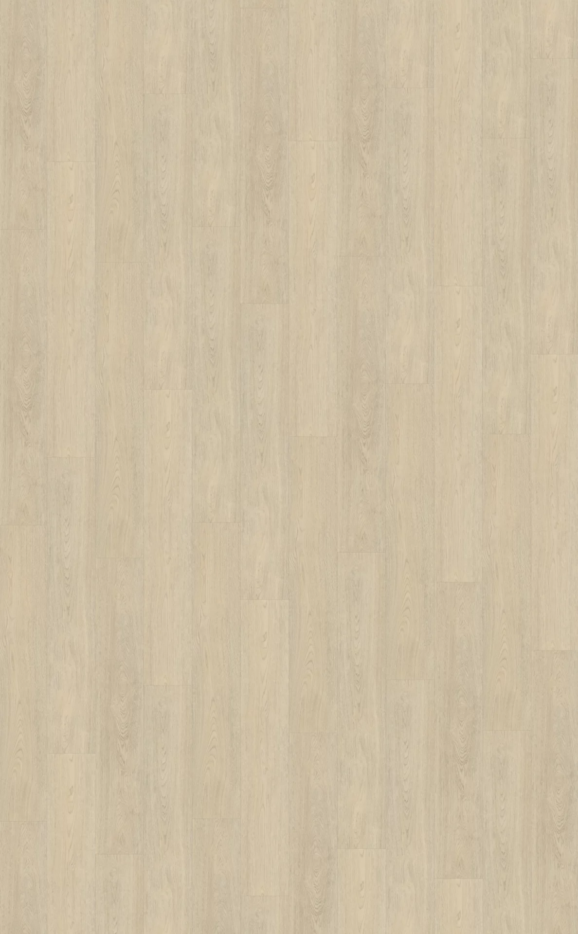 Belakos Terreno 620 Plank XL Dryback