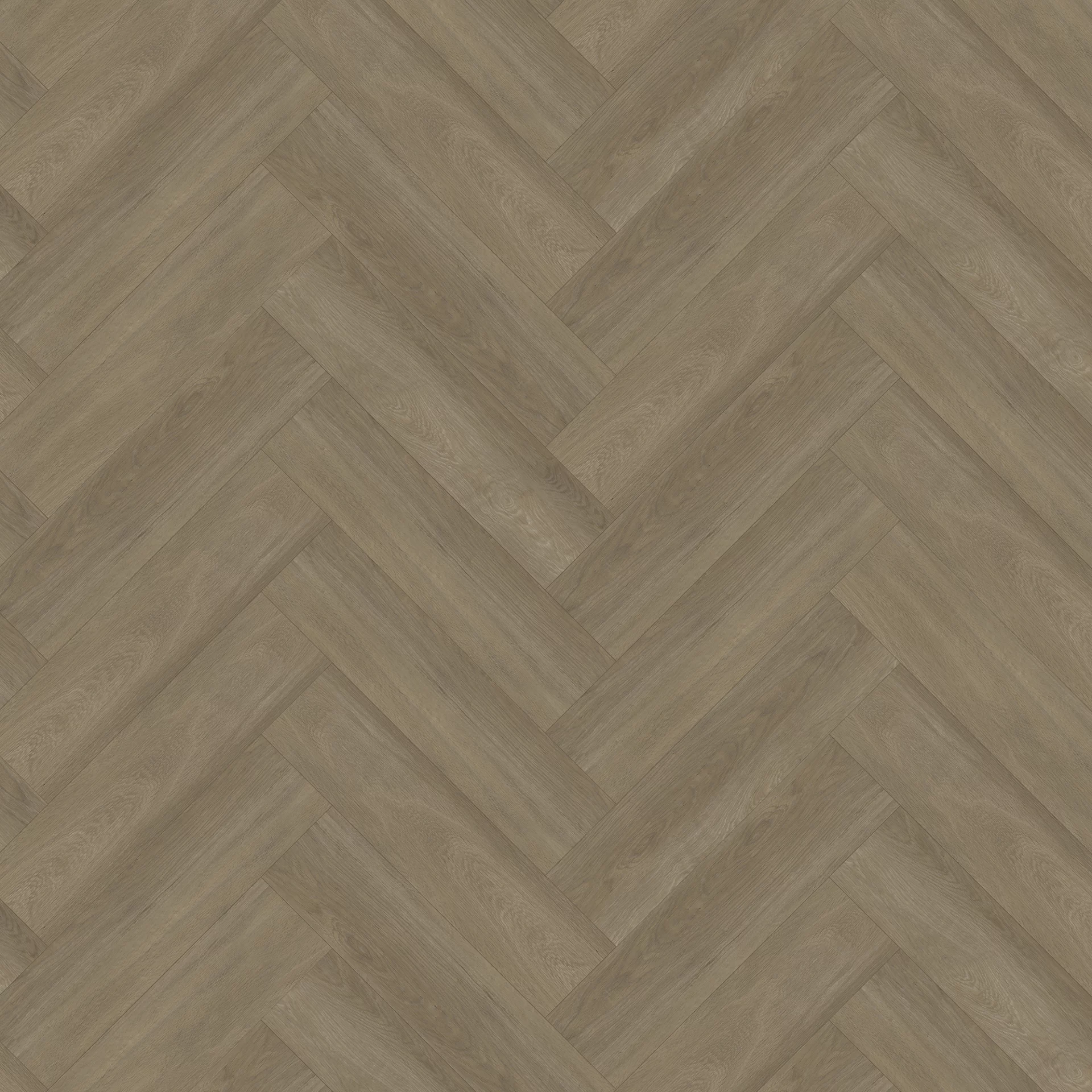 Bodiax Aringa 123 Ash Visgraat Dryback