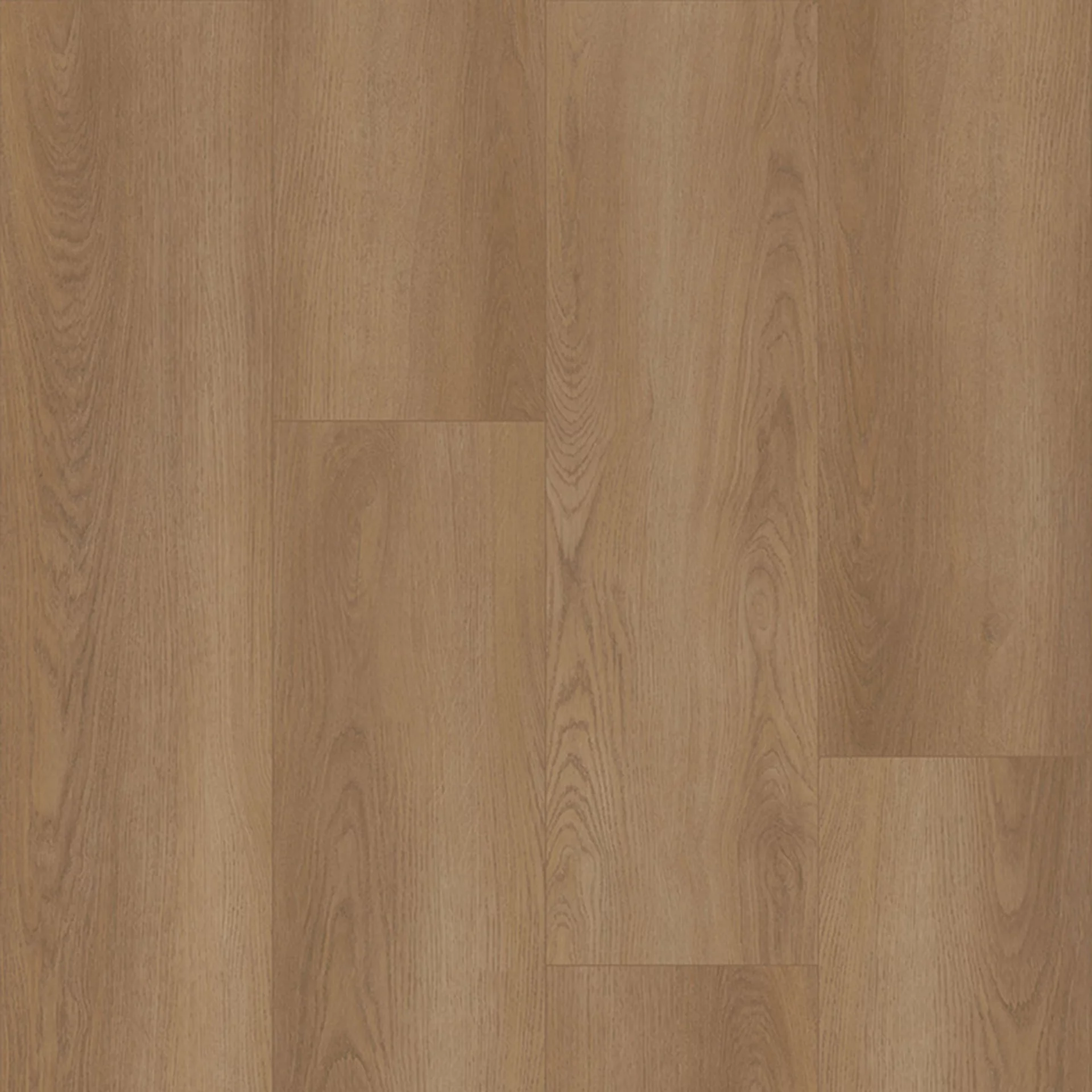 Bodiax Estrela 122 Shade Plank Dryback
