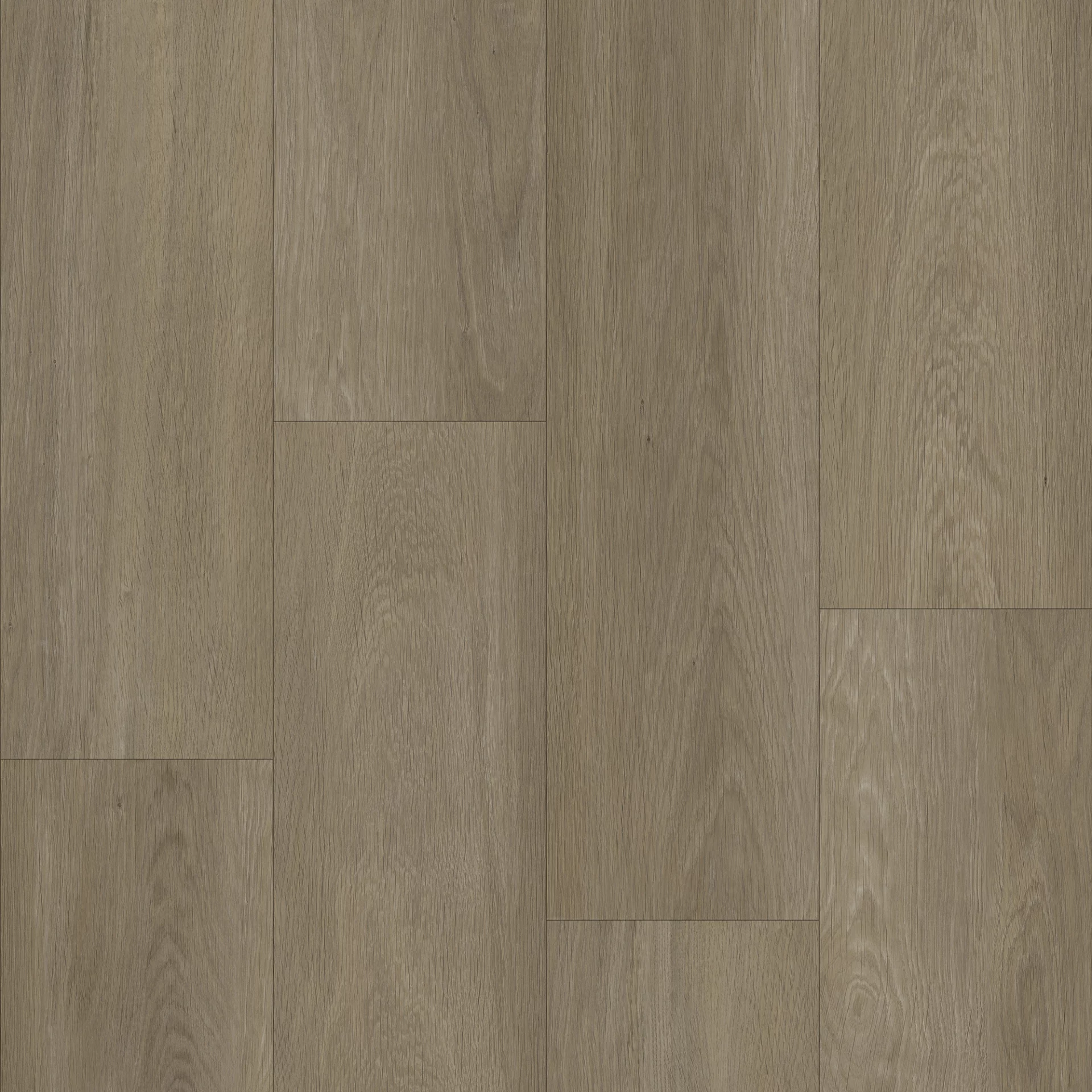 Bodiax Estrela 123 Ash Plank Dryback