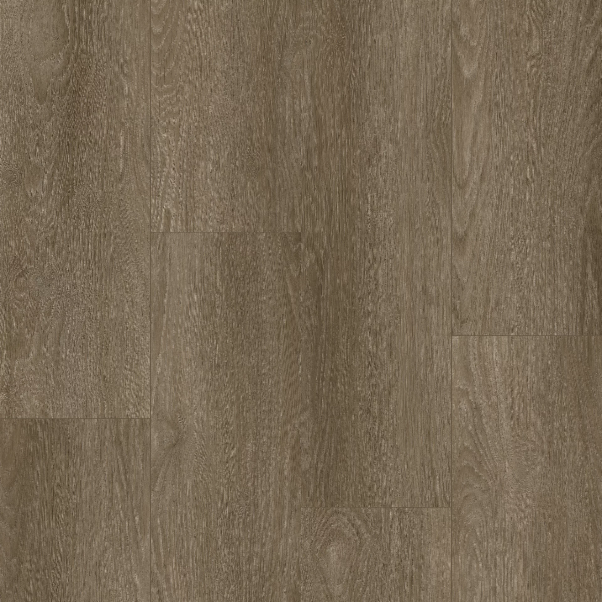 Bodiax Estrela 124 Waldorf Plank Dryback