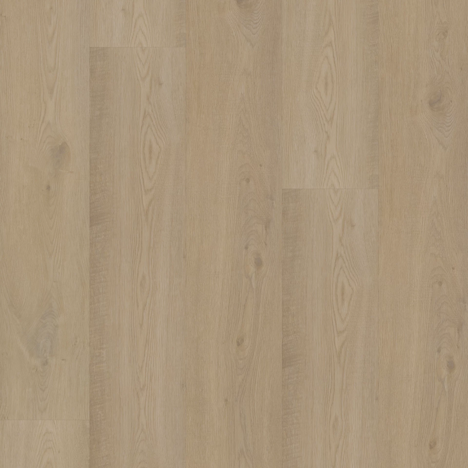 Bodiax Longa 313 Pickering Oak Plank XL Dryback