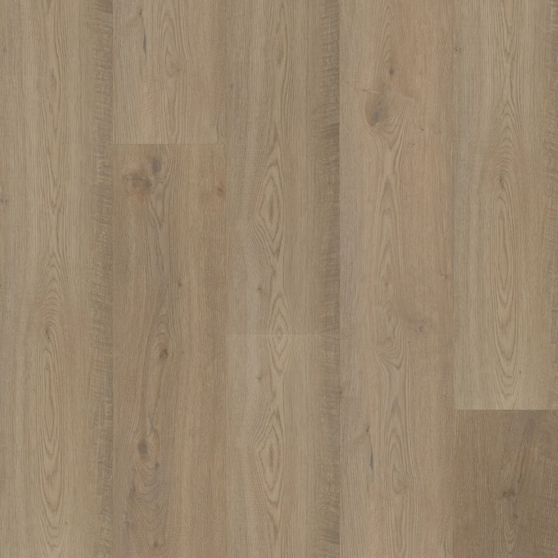 Bodiax Longa 314 Langley Oak Plank XL Dryback