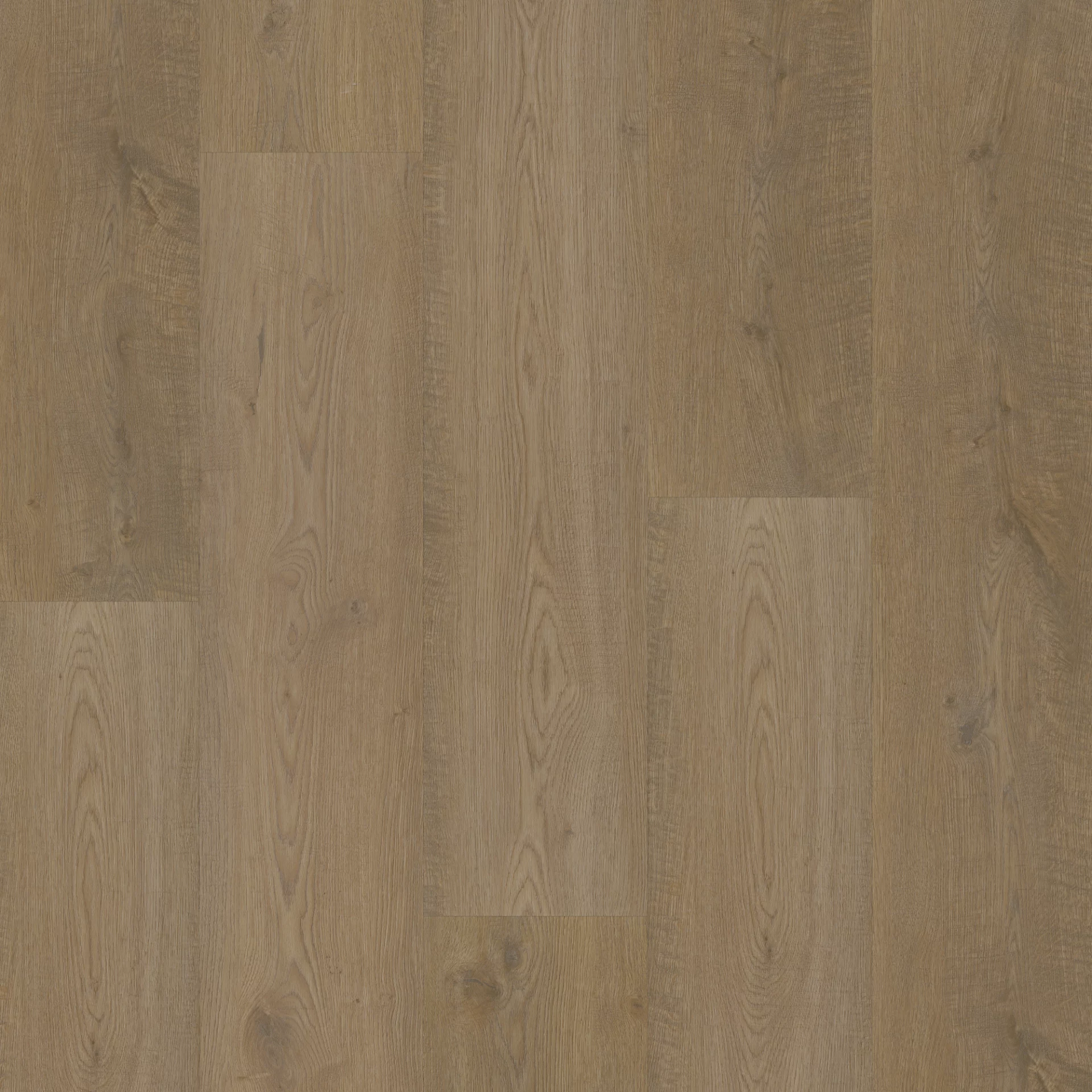 Bodiax Longa 315 Belleville Oak Plank XL Dryback