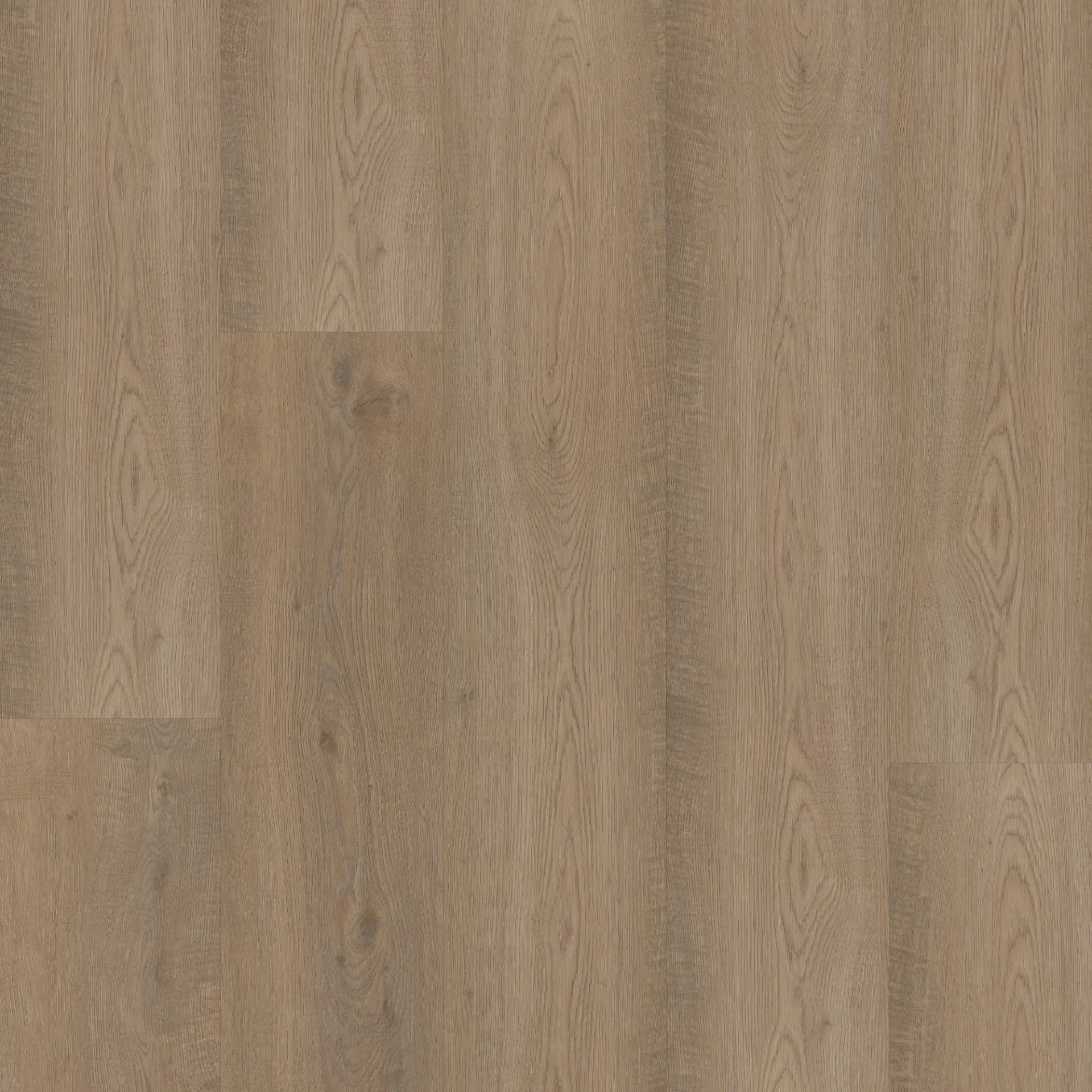 Bodiax Longa 316 Clarington Oak Plank XL Dryback