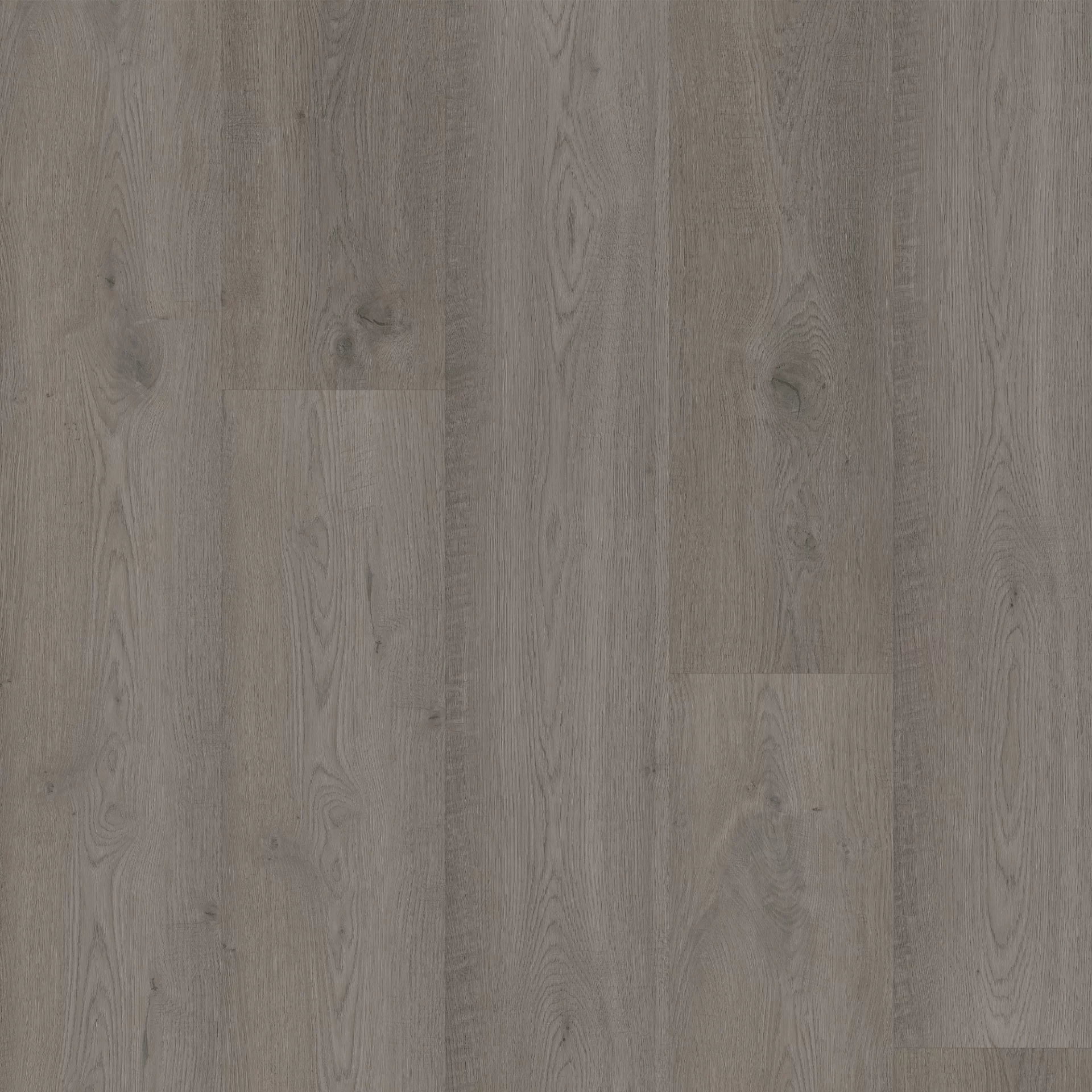 Bodiax Longa 317 Windsor Oak Plank XL Dryback