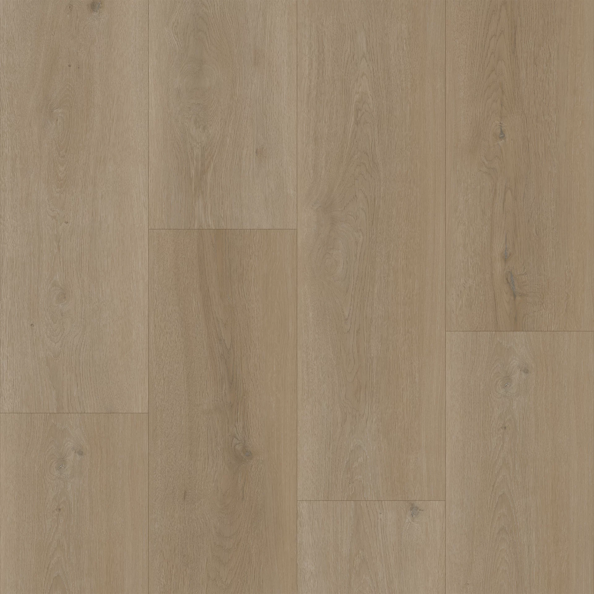Bodiax Longa 330 Legian Plank XL Dryback