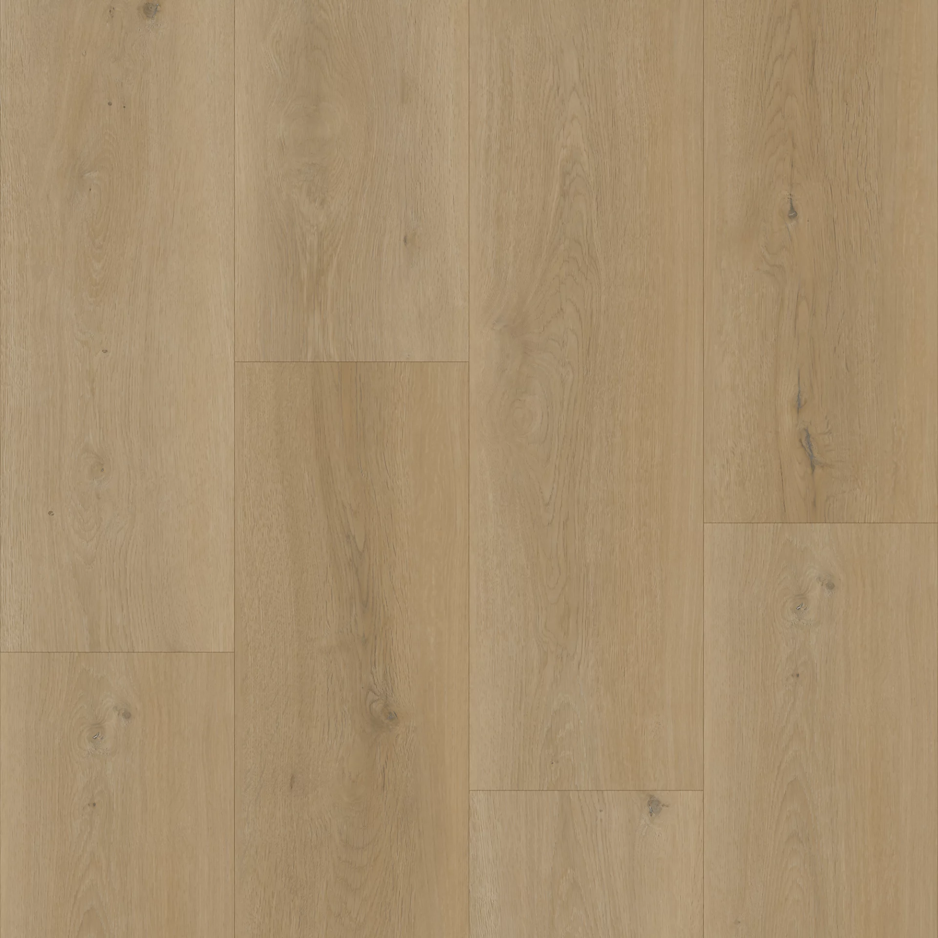 Bodiax Longa 331 Silt Plank XL Dryback