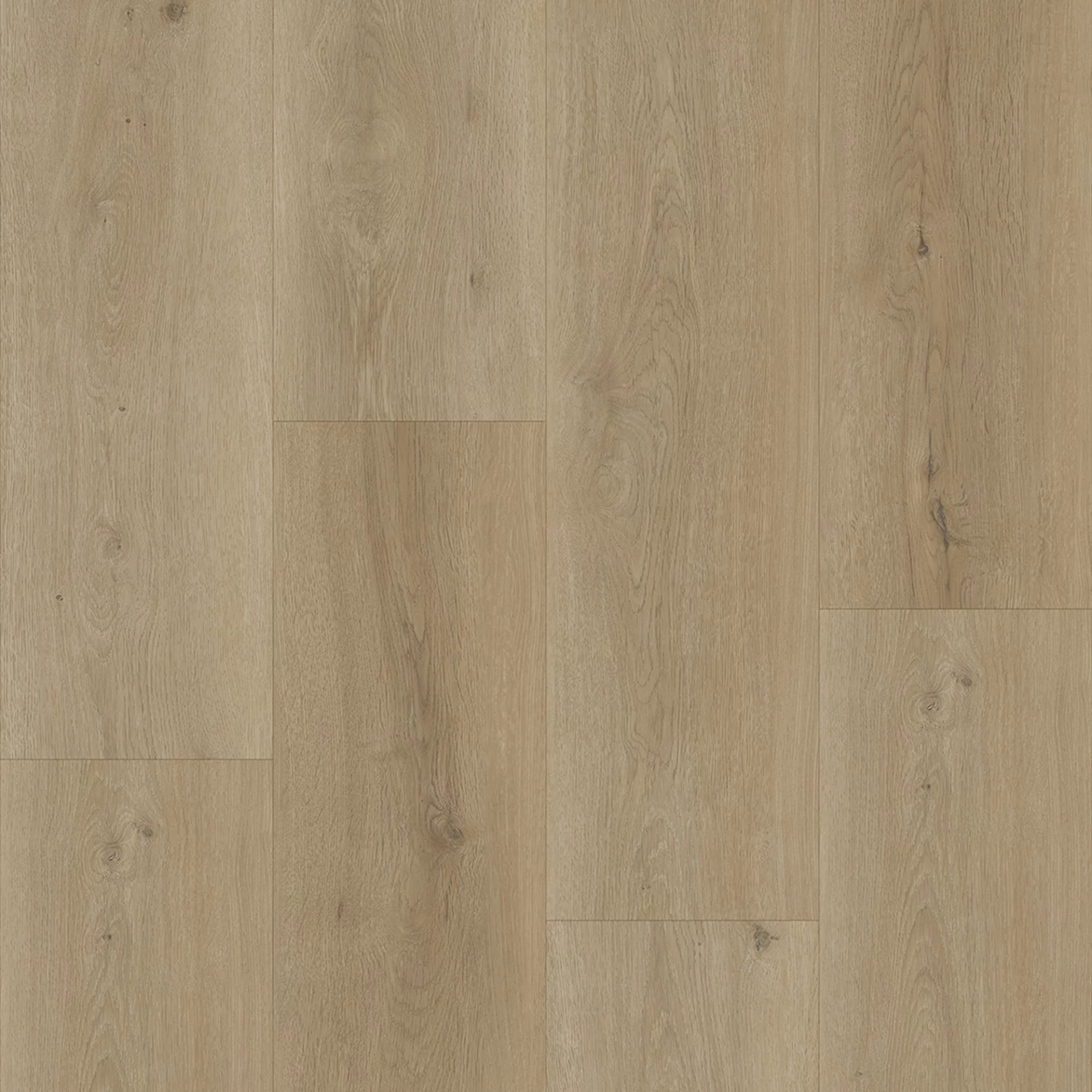 Bodiax Longa 332 Sage Plank XL Dryback
