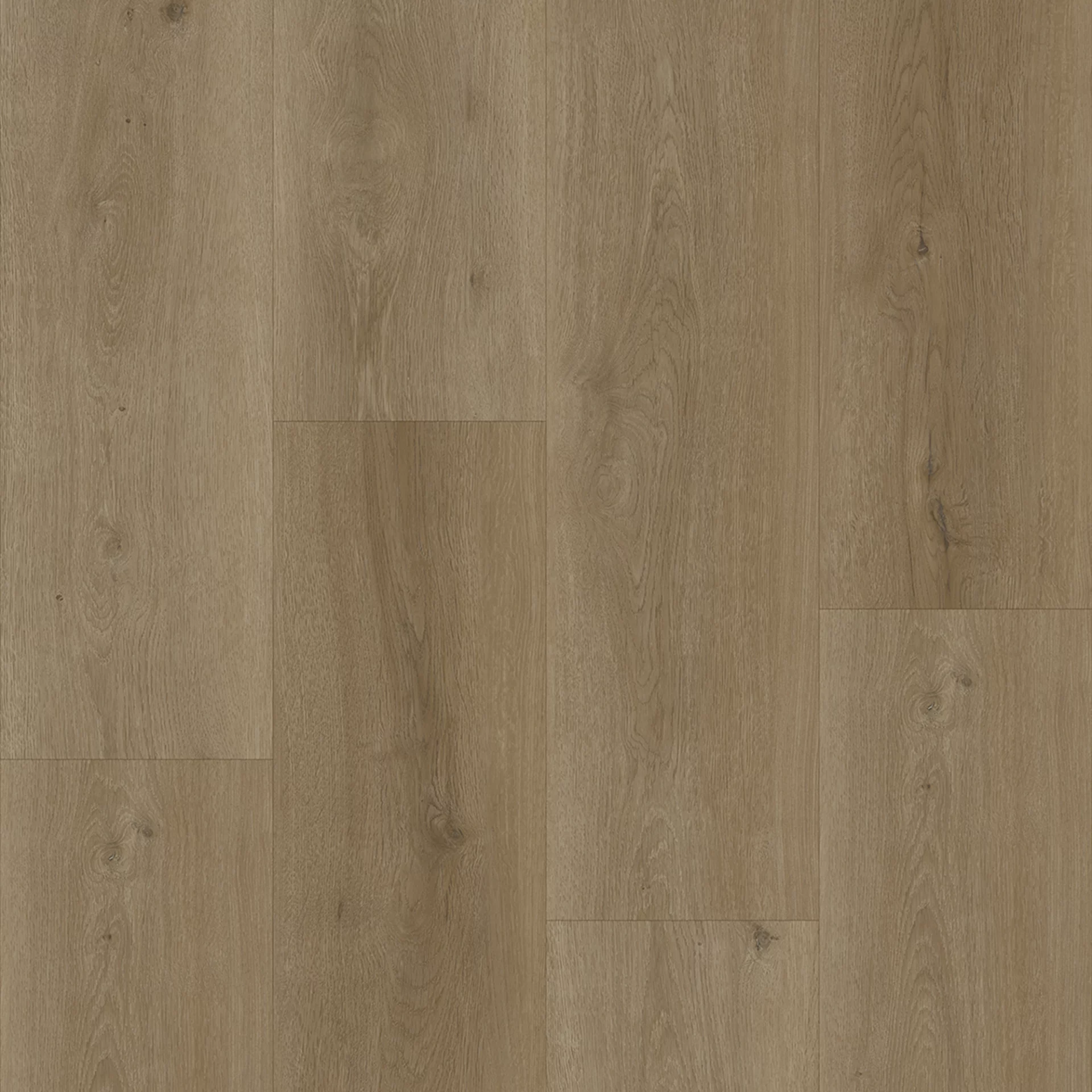 Bodiax Longa 333 Selenite Plank XL Dryback