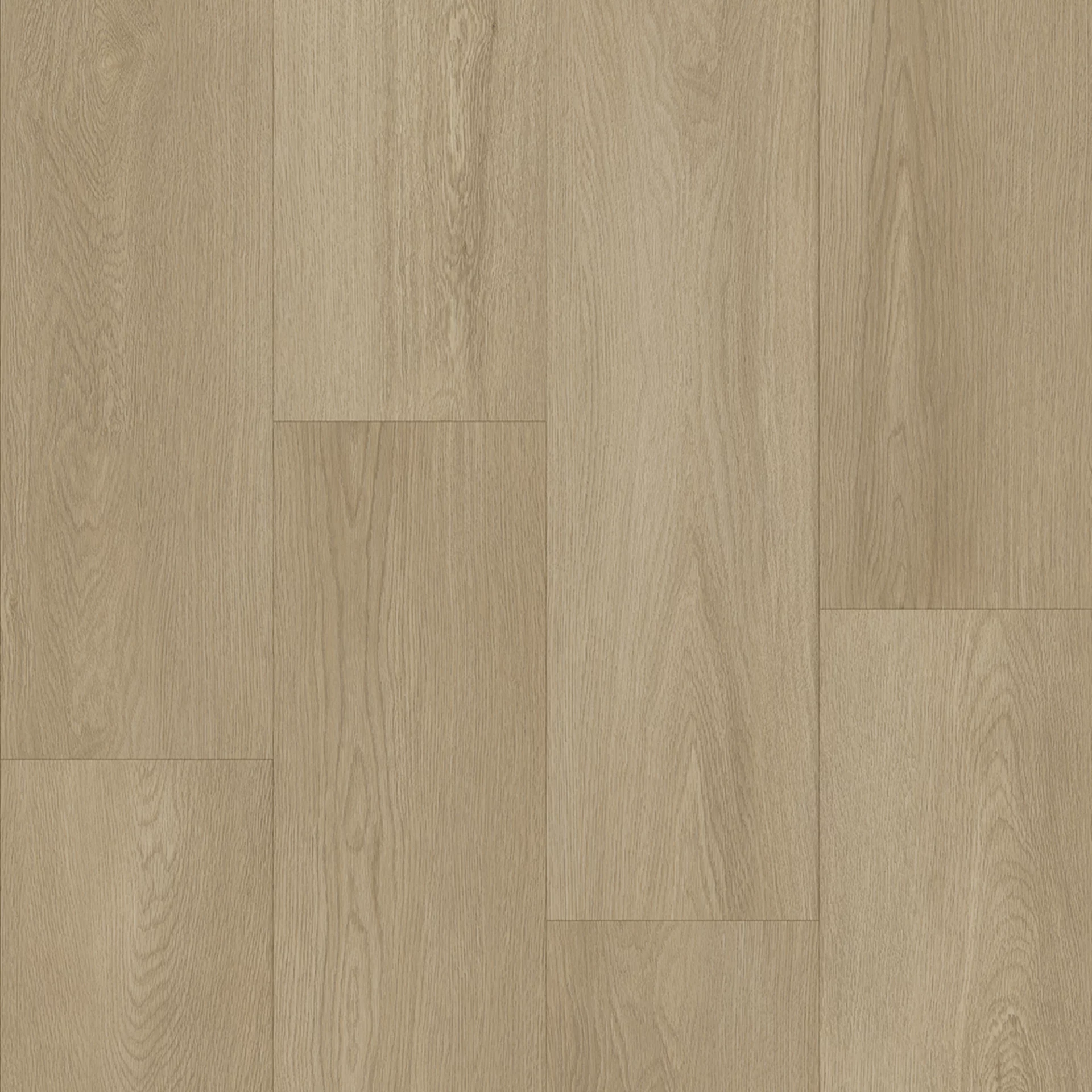 Bodiax Longa 337 Blossom Plank XL Dryback