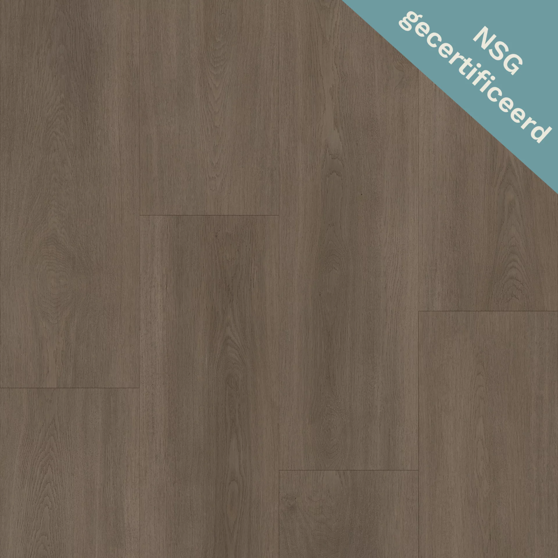 Bodiax Royal 592 Majestic Plank XL Click