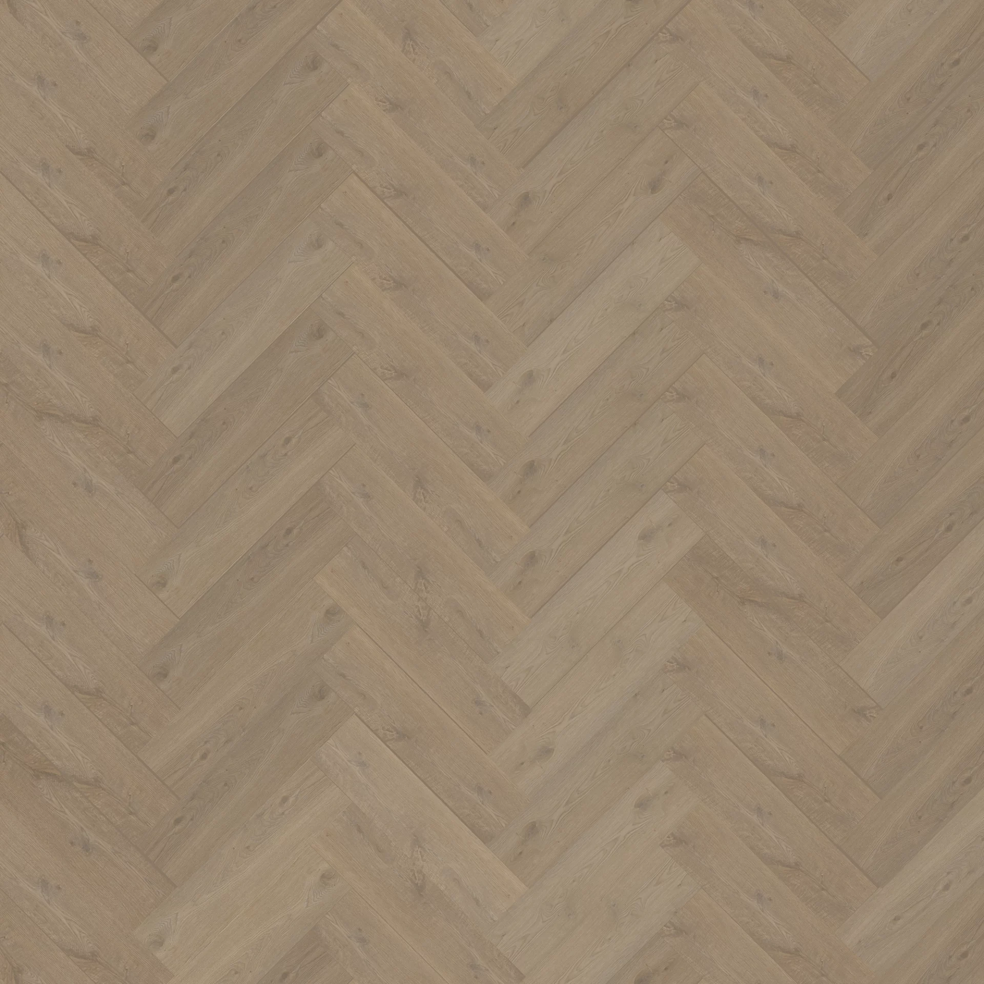 Bodiax Tuna 312 Burnaby Oak Visgraat XL Dryback
