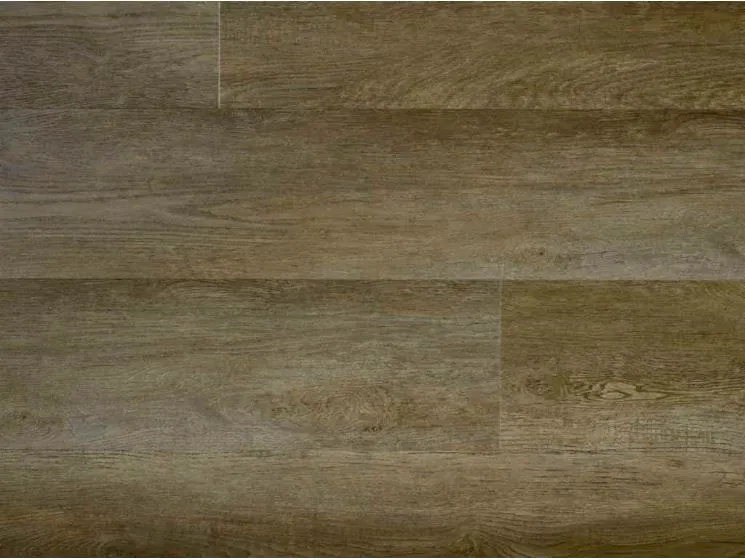 Castell 905 Premium 5013 Plank XL Dryback